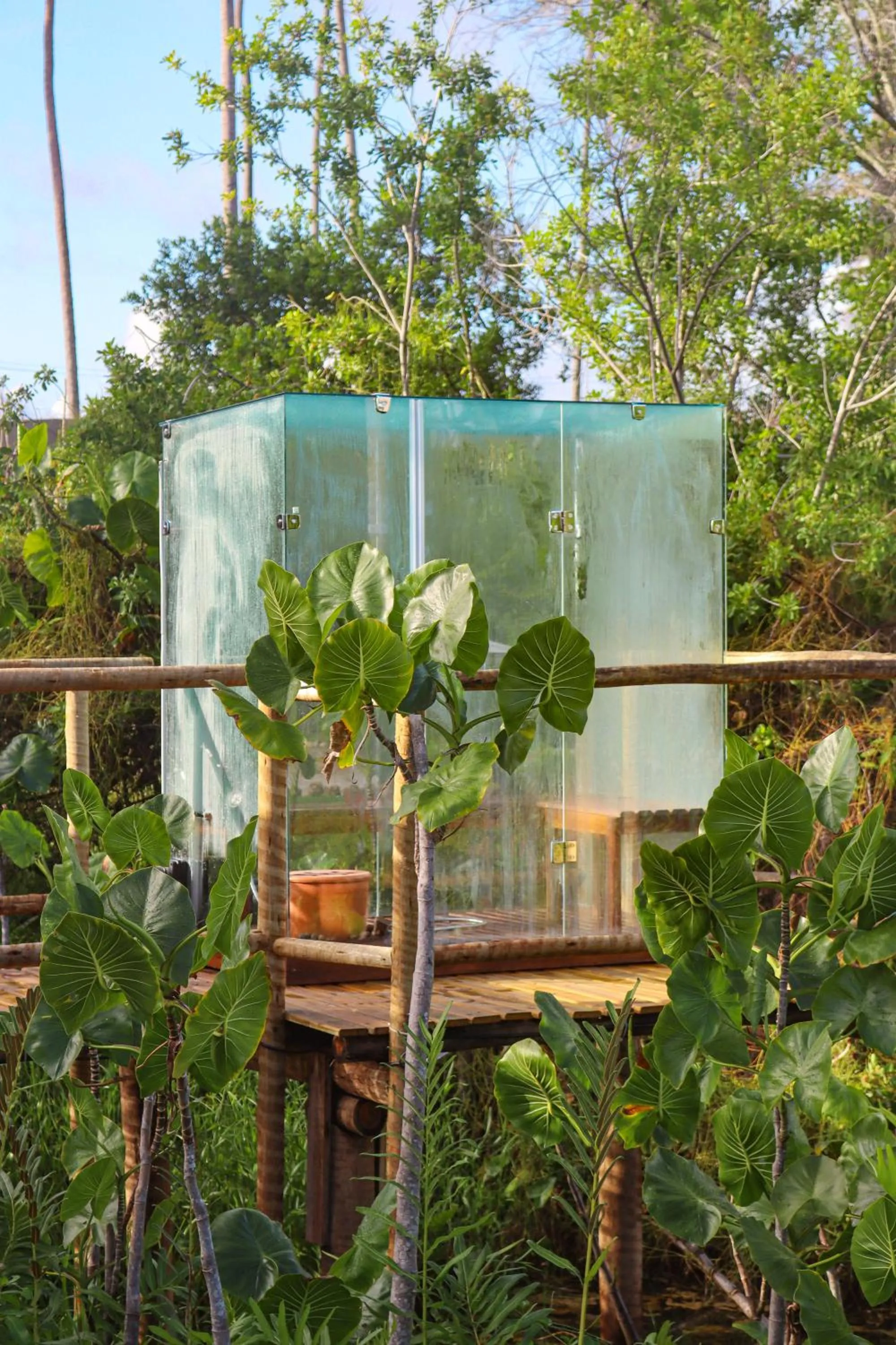 Sauna in Taboo Milagres