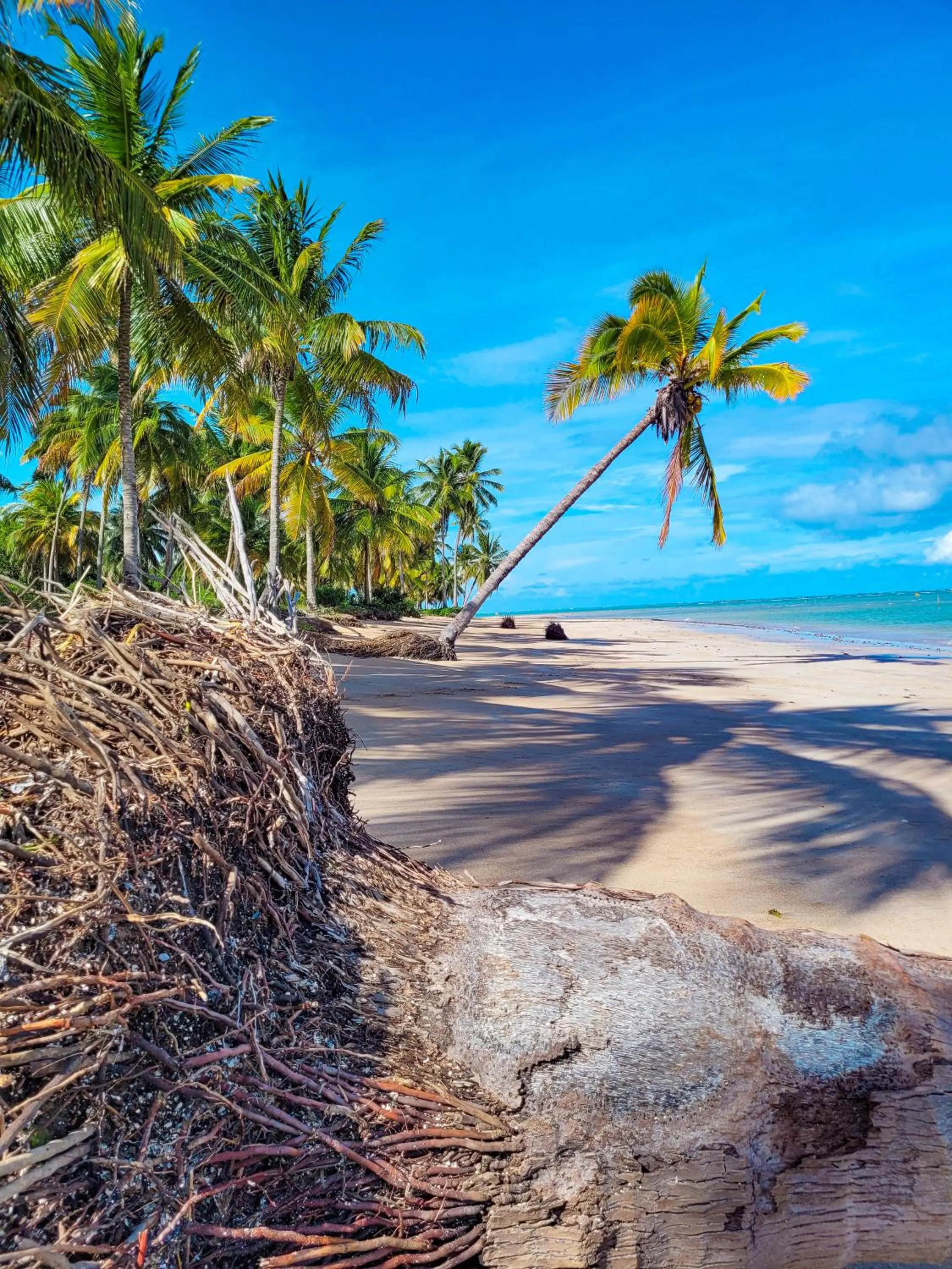 Natural landscape in Taboo Milagres