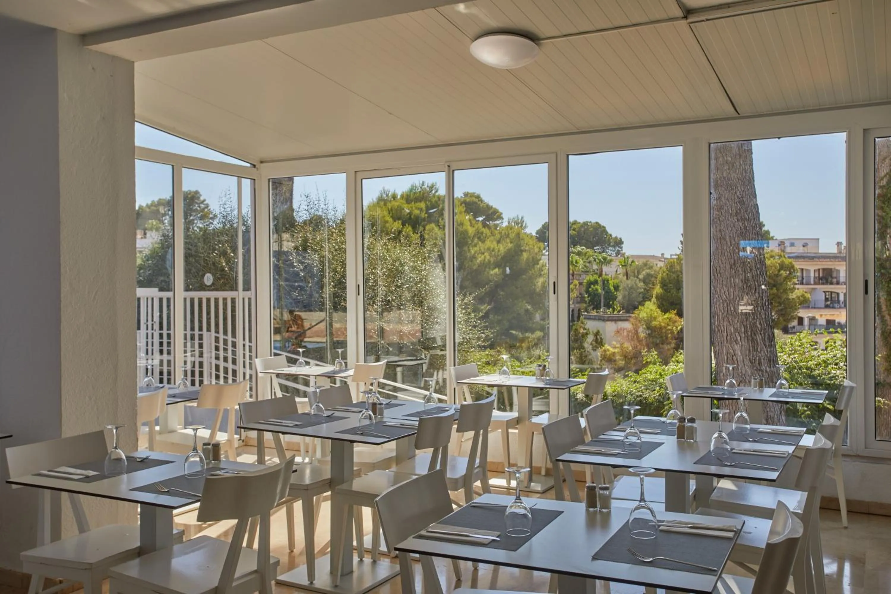 Restaurant/places to eat in JS Paradise Sport - Adults Only