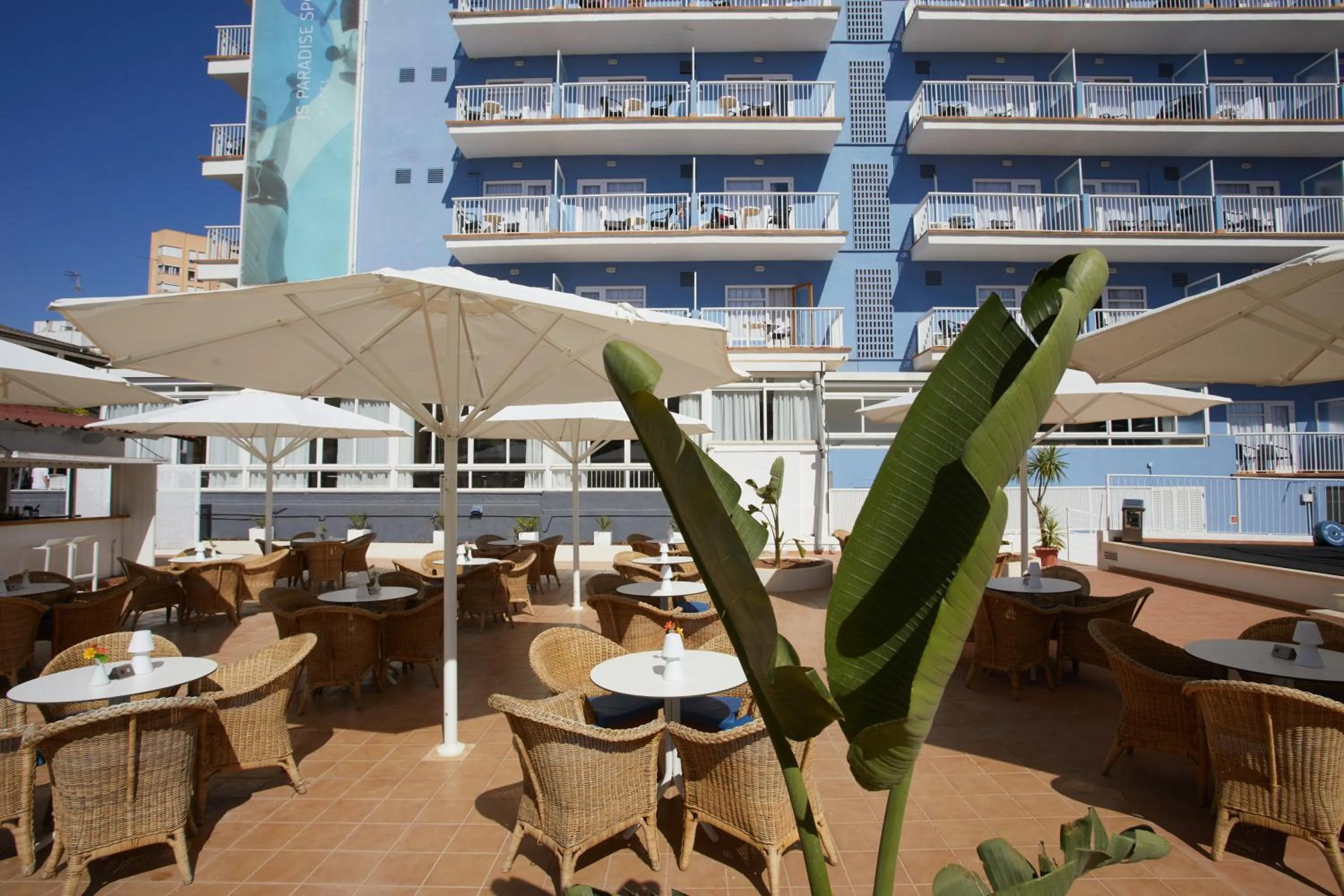 Lounge or bar in JS Paradise Sport - Adults Only