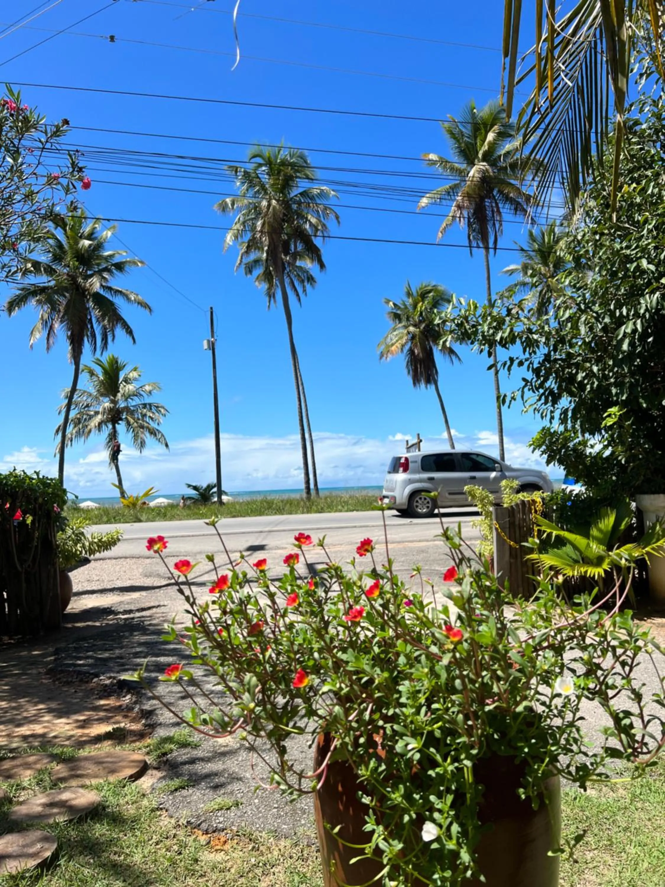 Garden view in Pousada San Giovanni
