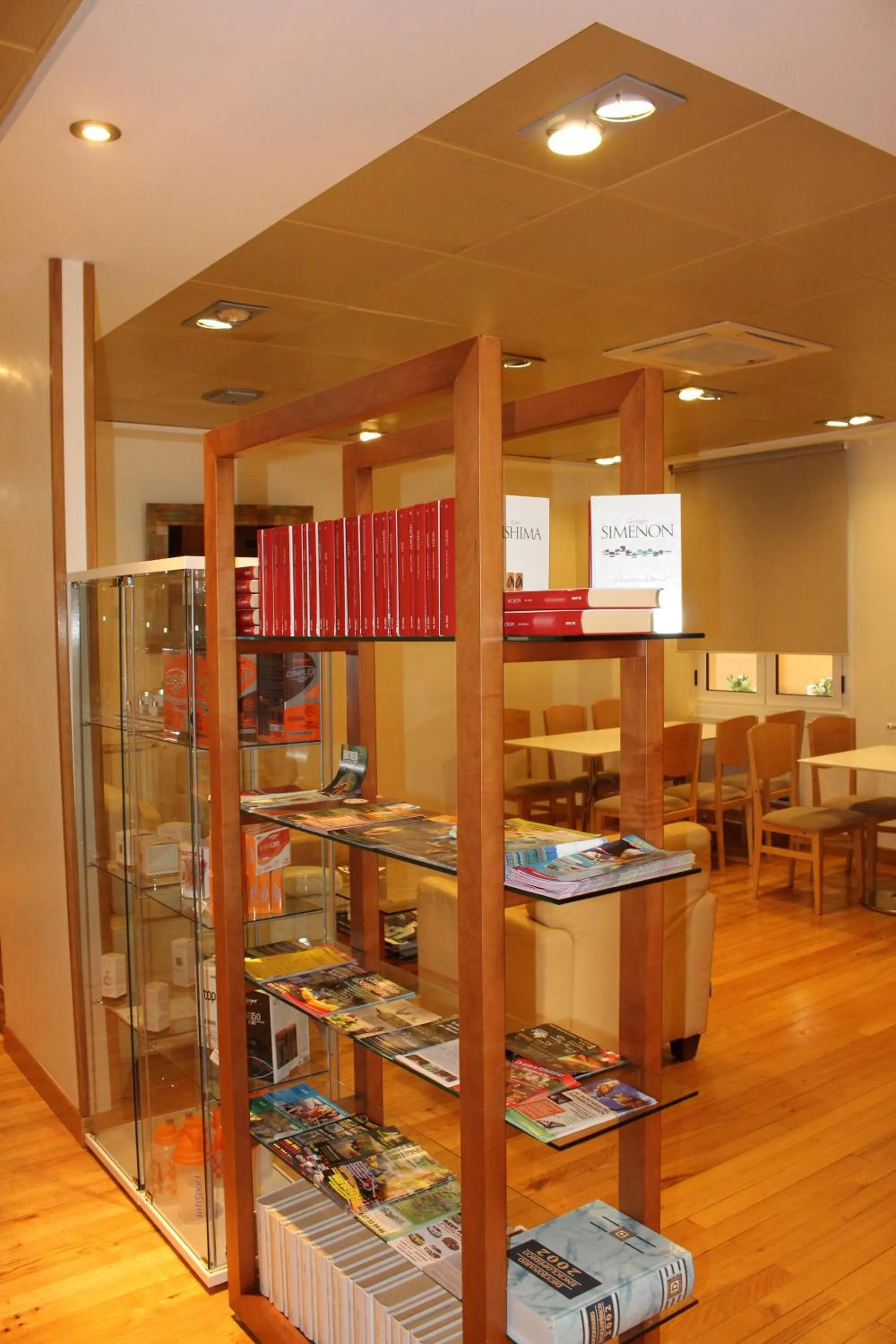 Library in Hotel Nochendi