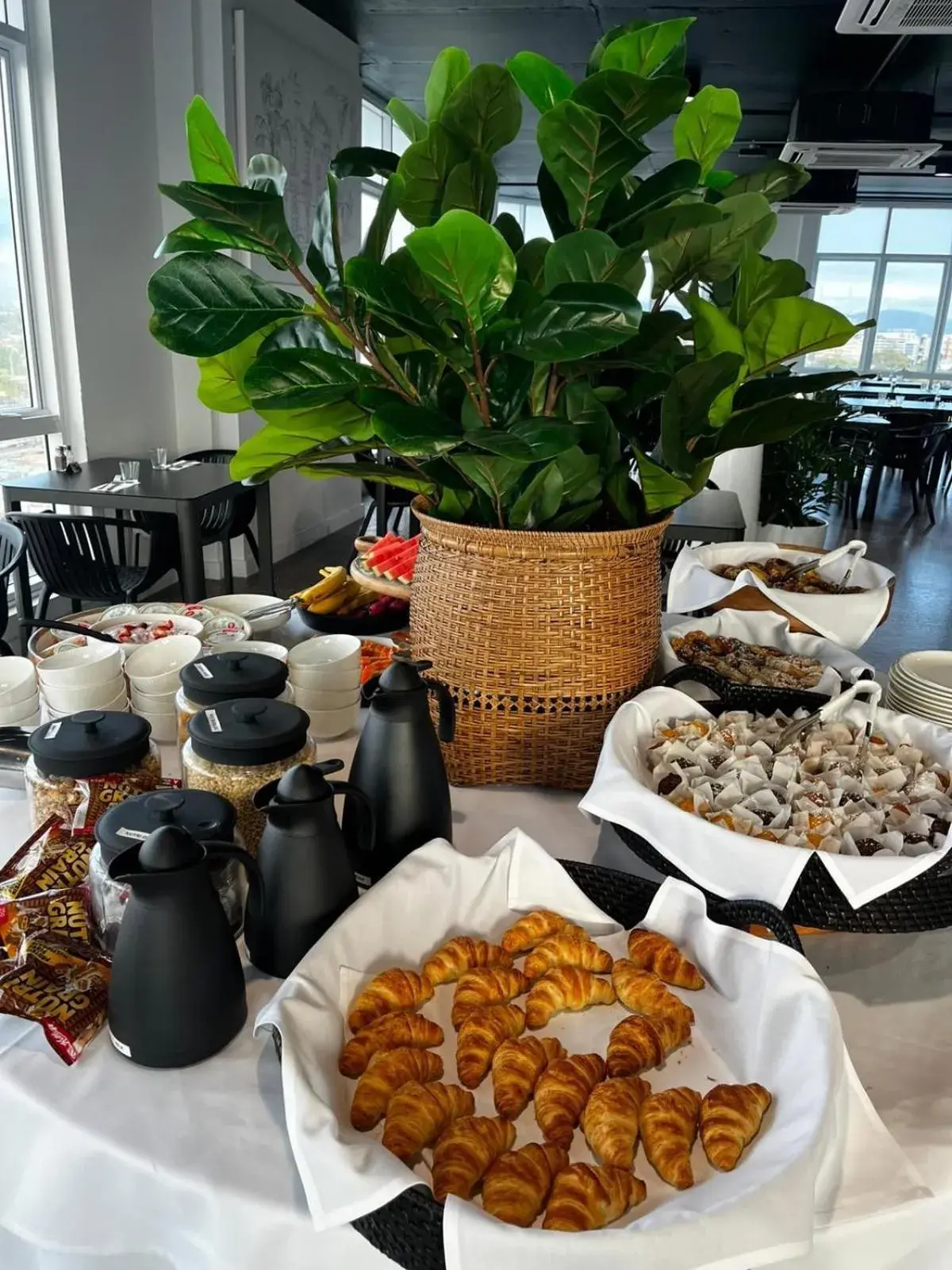 Continental breakfast in Swiss-Belhotel Woolloongabba, Brisbane Continental breakfast in Swiss-Belhotel Woolloongabba, Brisbane