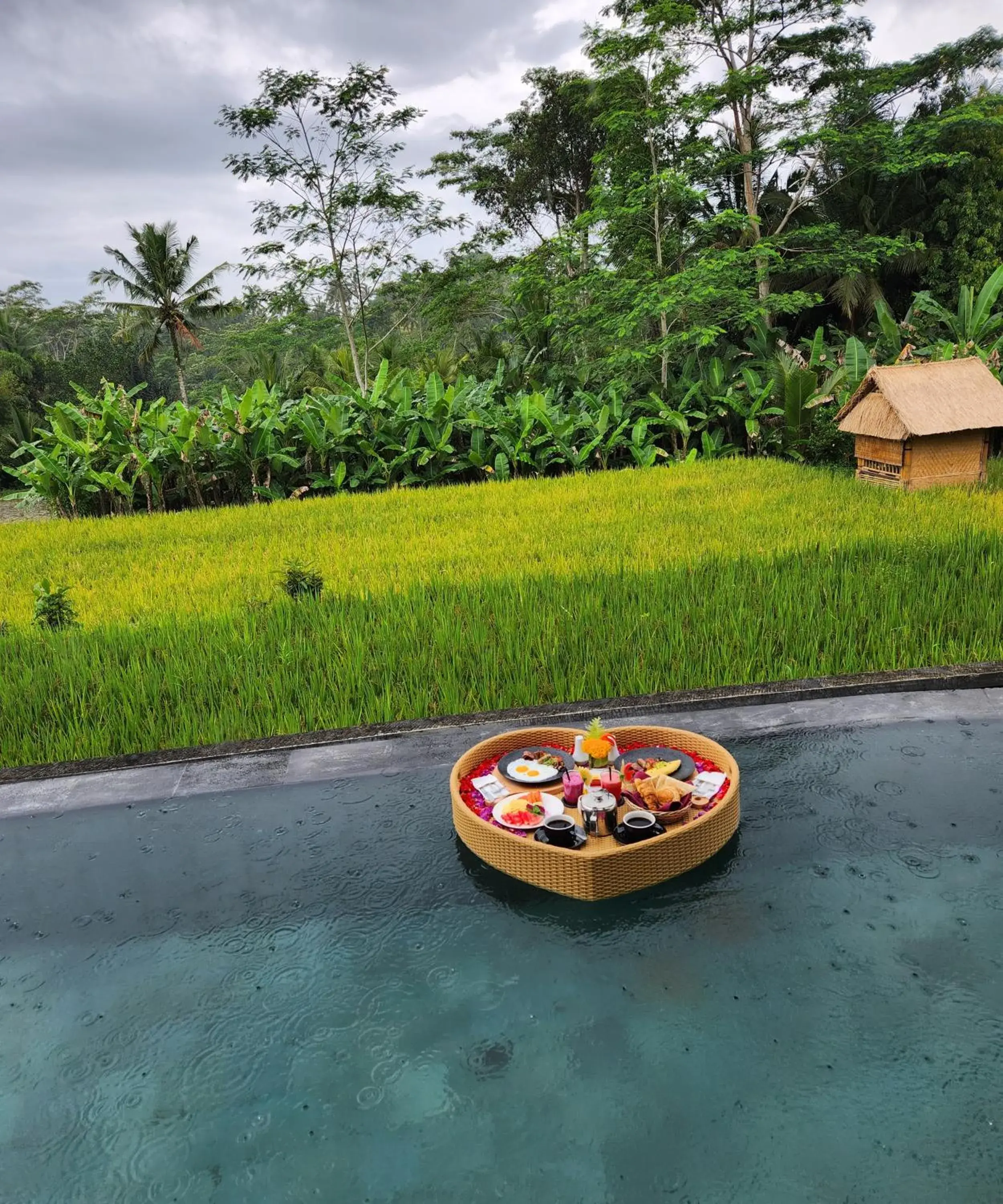 Pinggala Villa Ubud Pinggala Villa Ubud