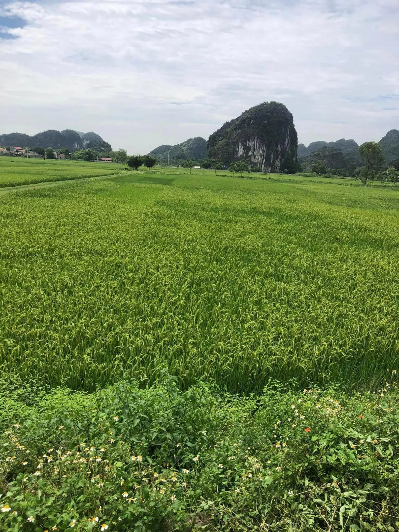 Natural landscape in My Tam Coc Bungalow Ninh Bình