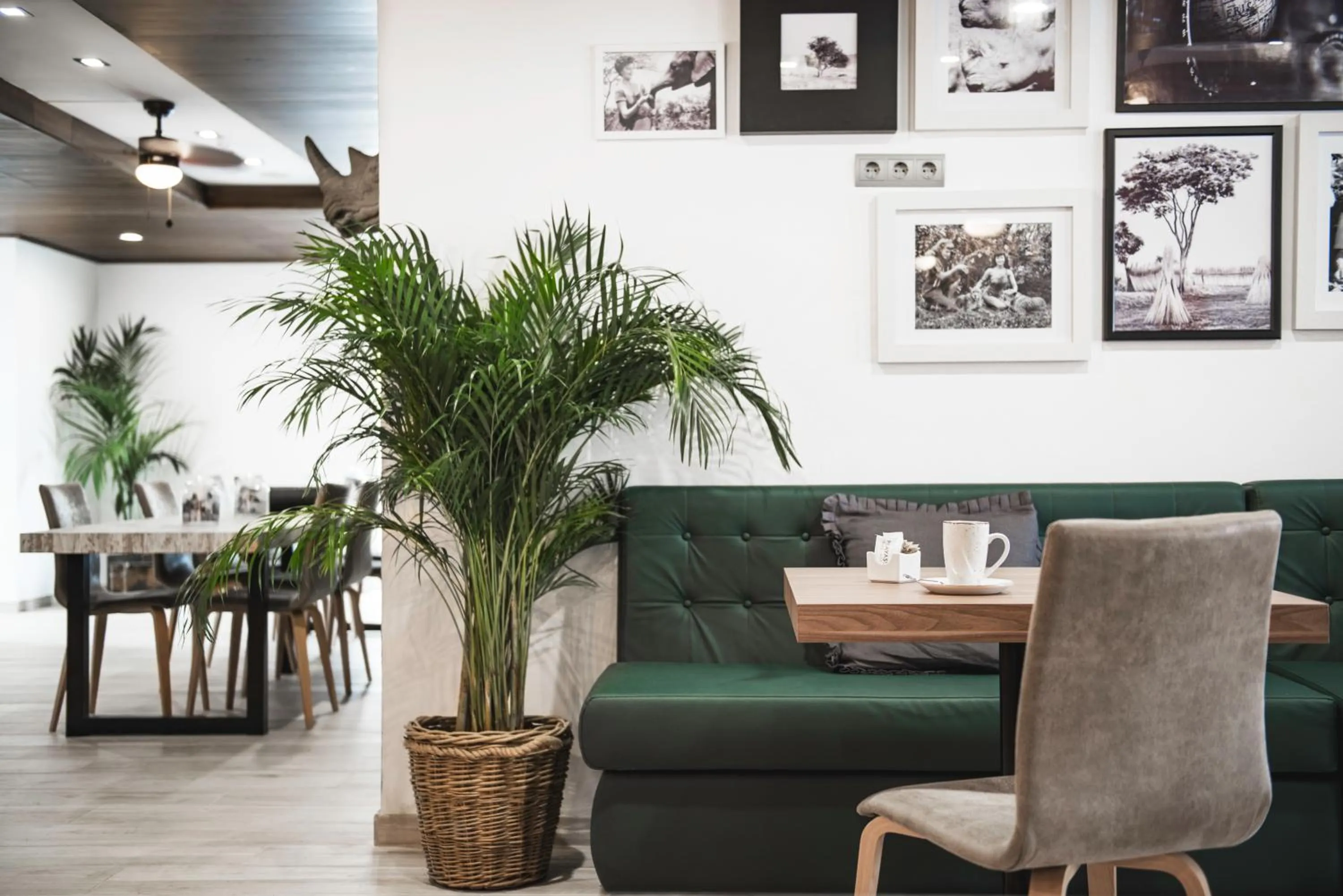 Lobby or reception in Aparthotel Vibra Mogambo - Adults only