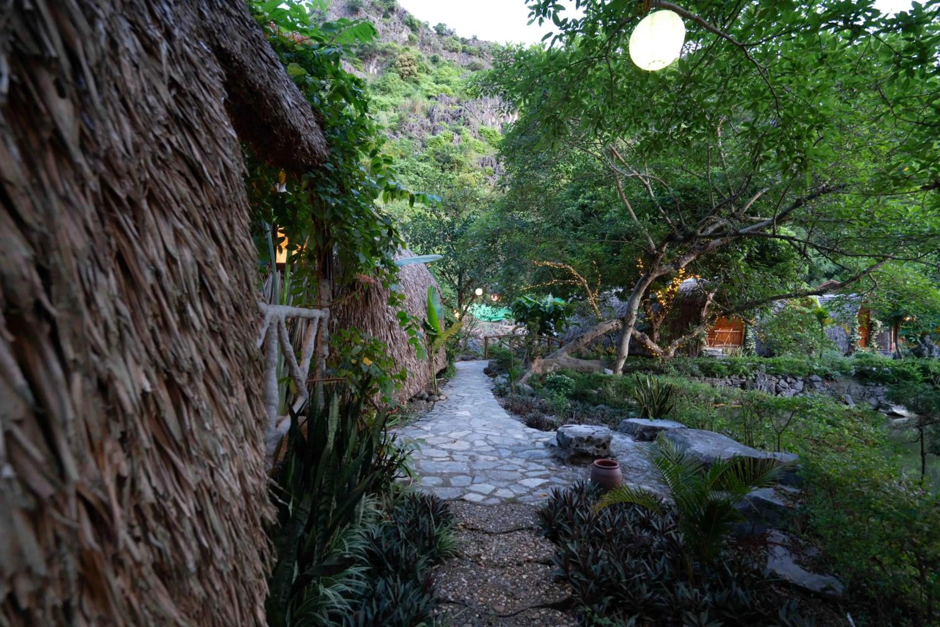 View (from property/room) in THE GOAT BOUTIQUE RESORT