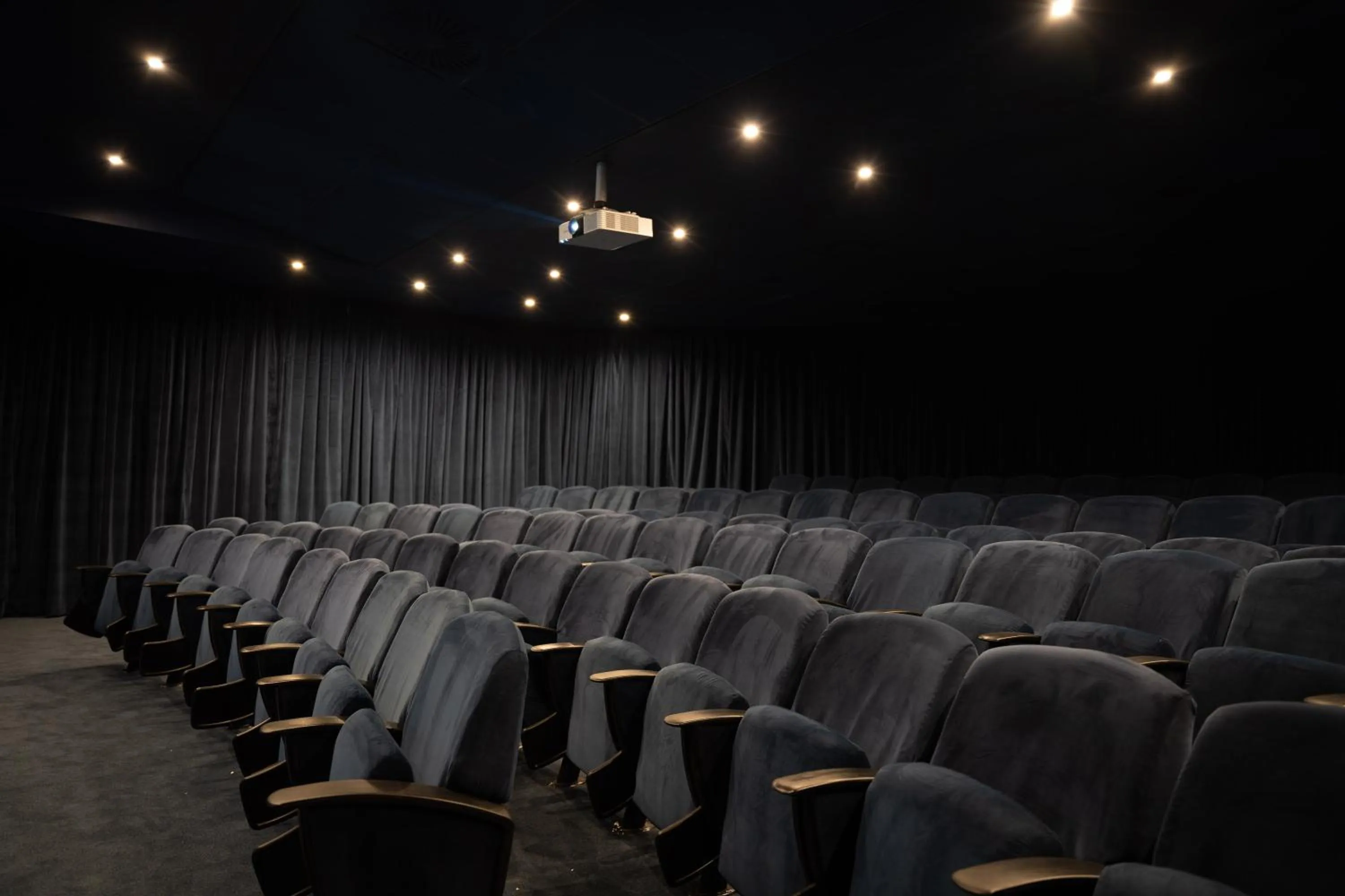 Entertainment in BlackBrick Sandton Two