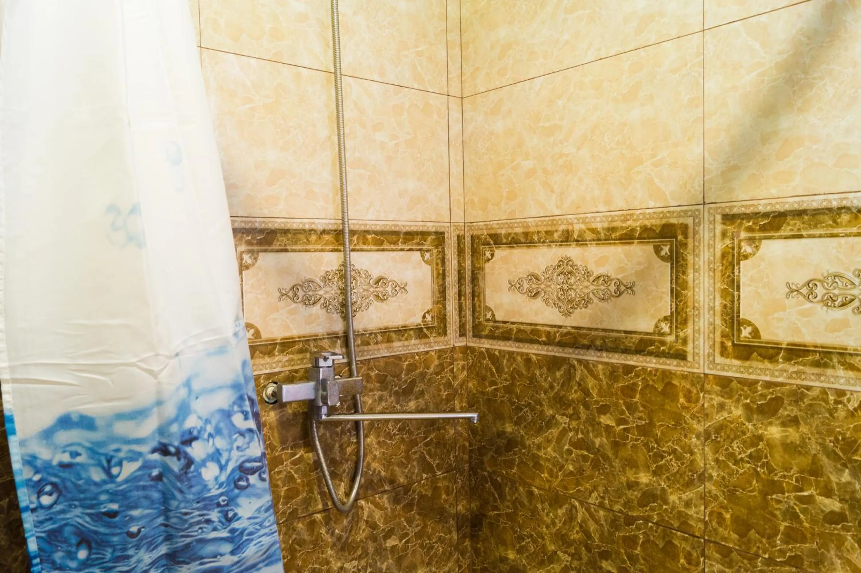 Shower in Bagrat Guest House