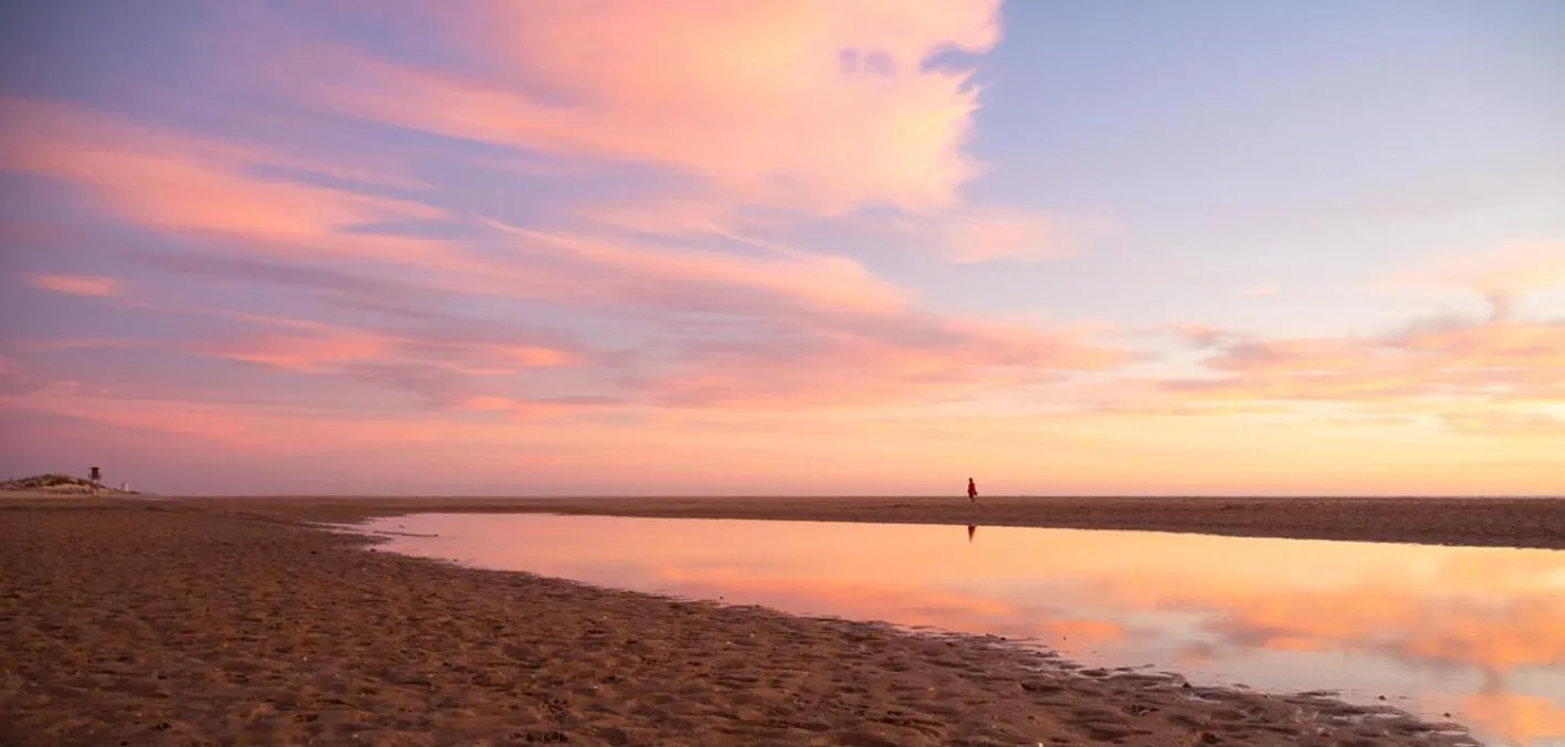 Spring in Hotel Oasis