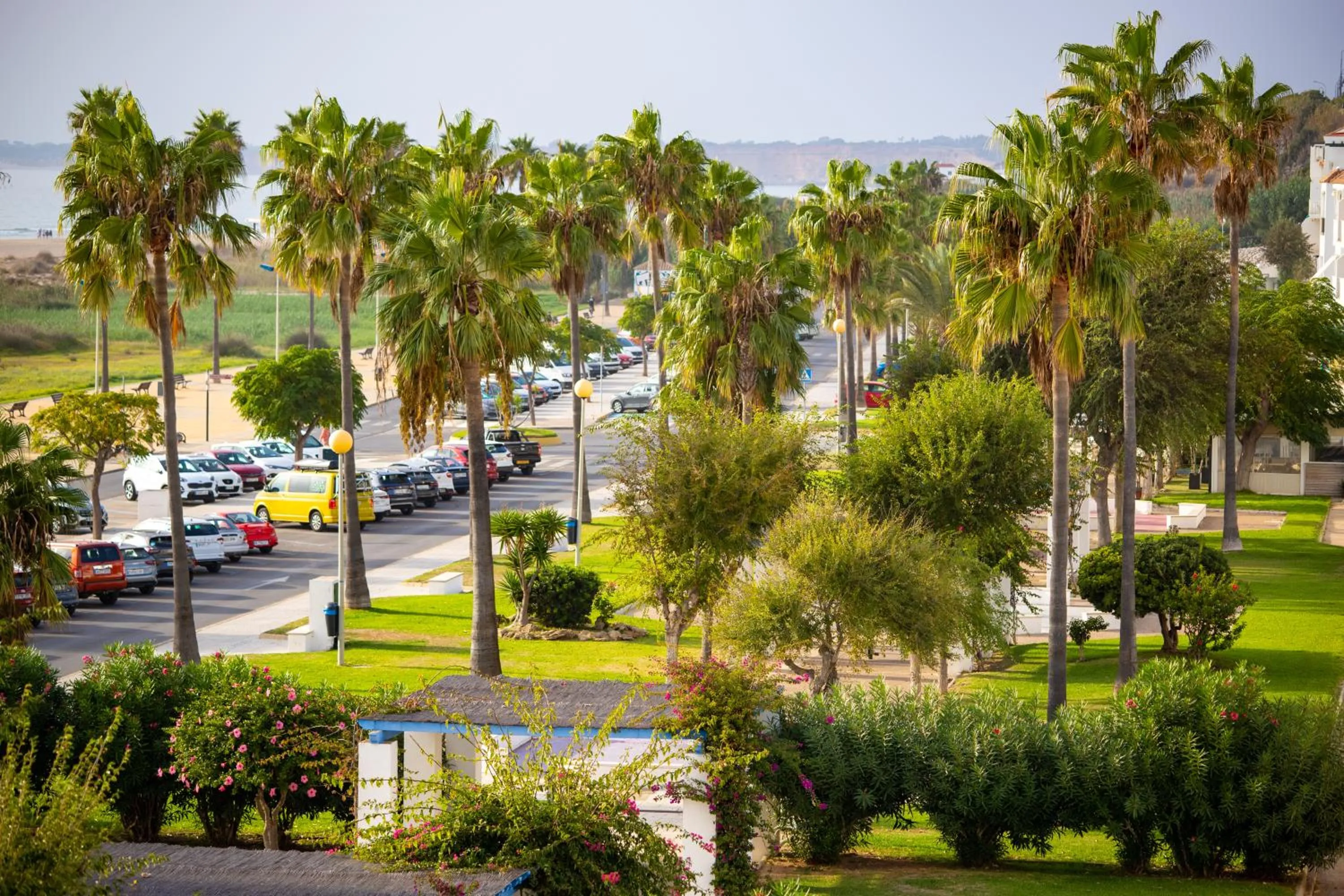 Garden view in Hotel Oasis