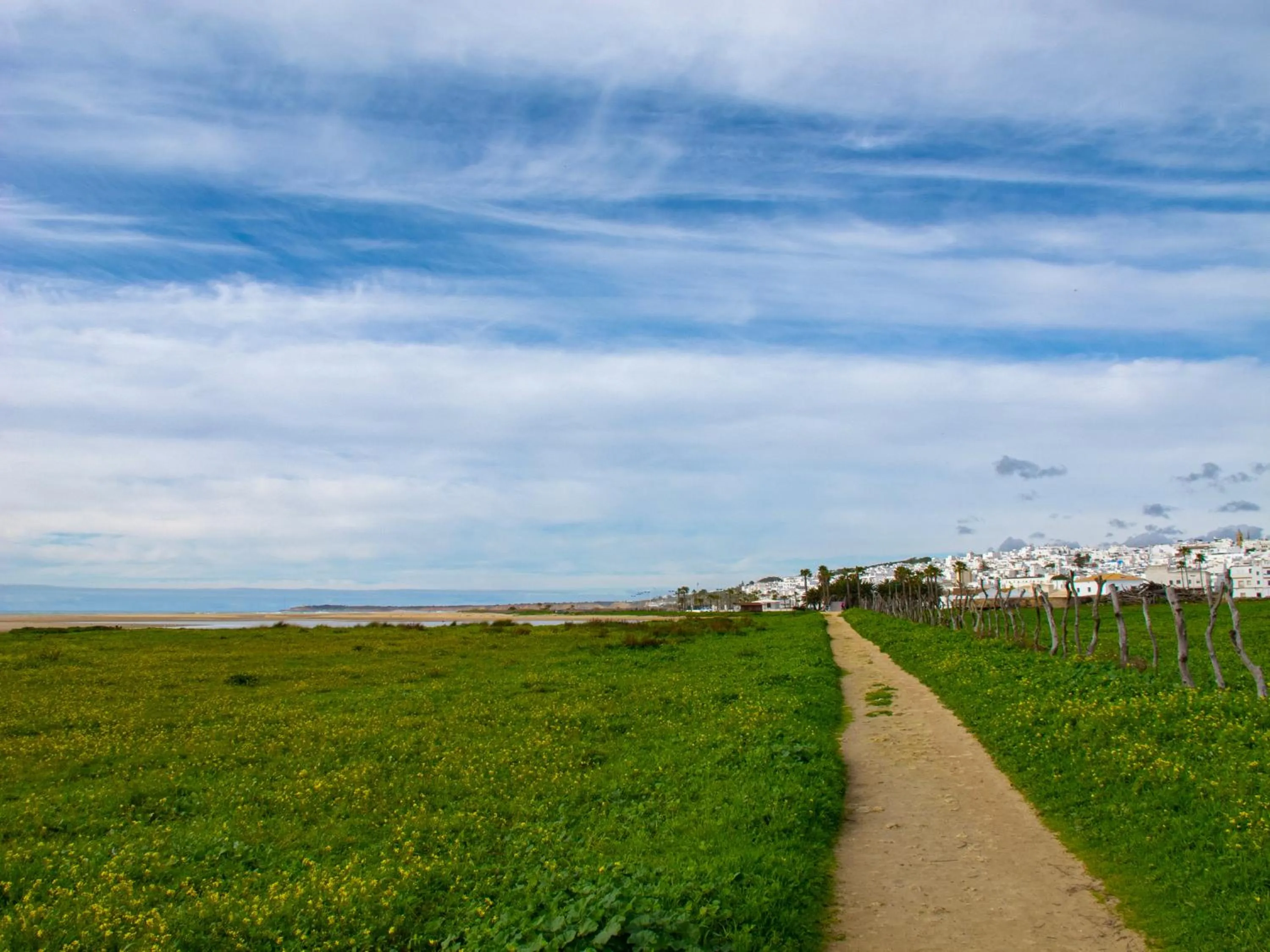 Beach in Hotel Oasis