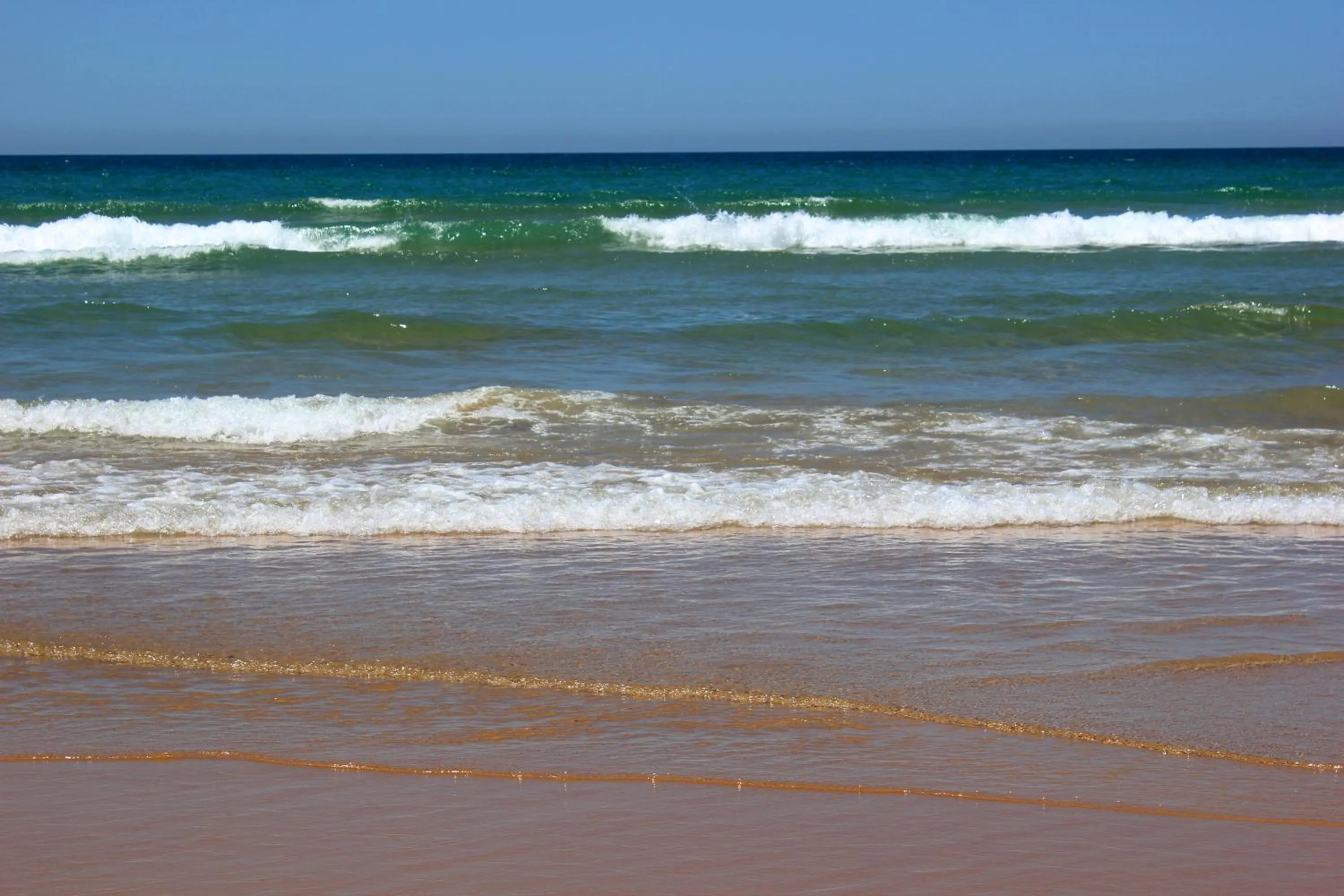 Area and facilities in Hotel Oasis