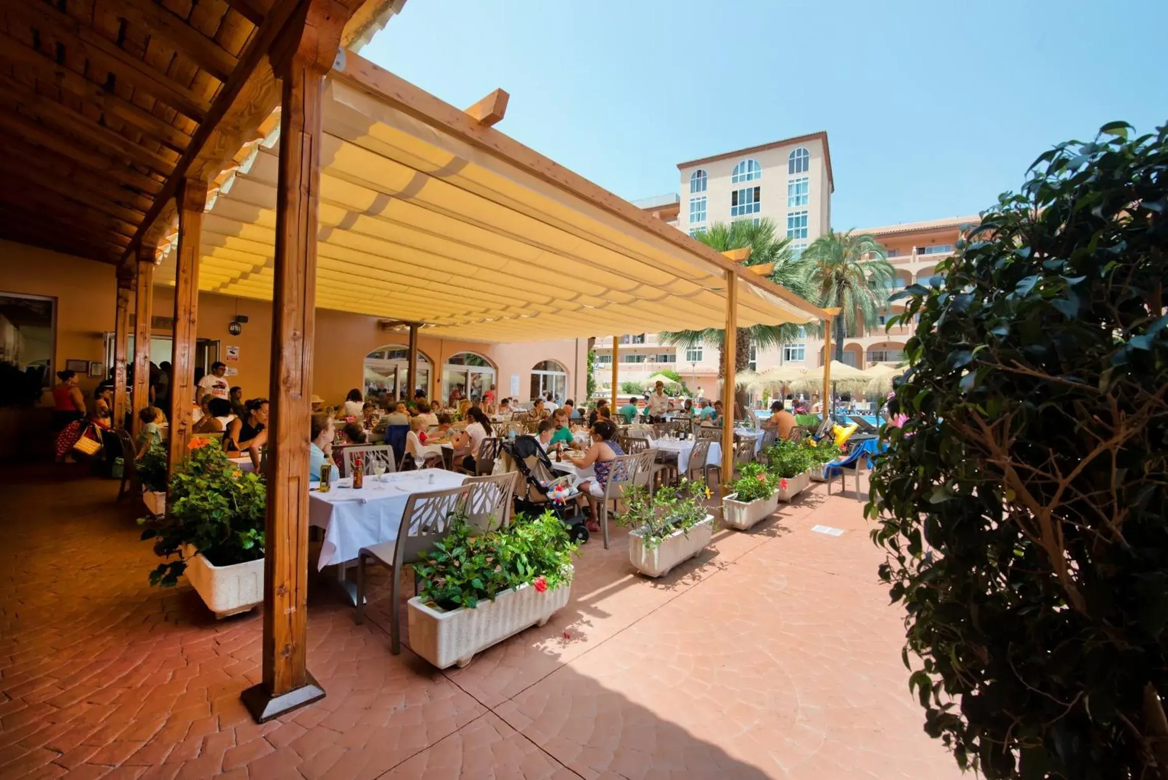 Restaurant/places to eat in Bahía Tropical Restaurant/places to eat in Bahía Tropical