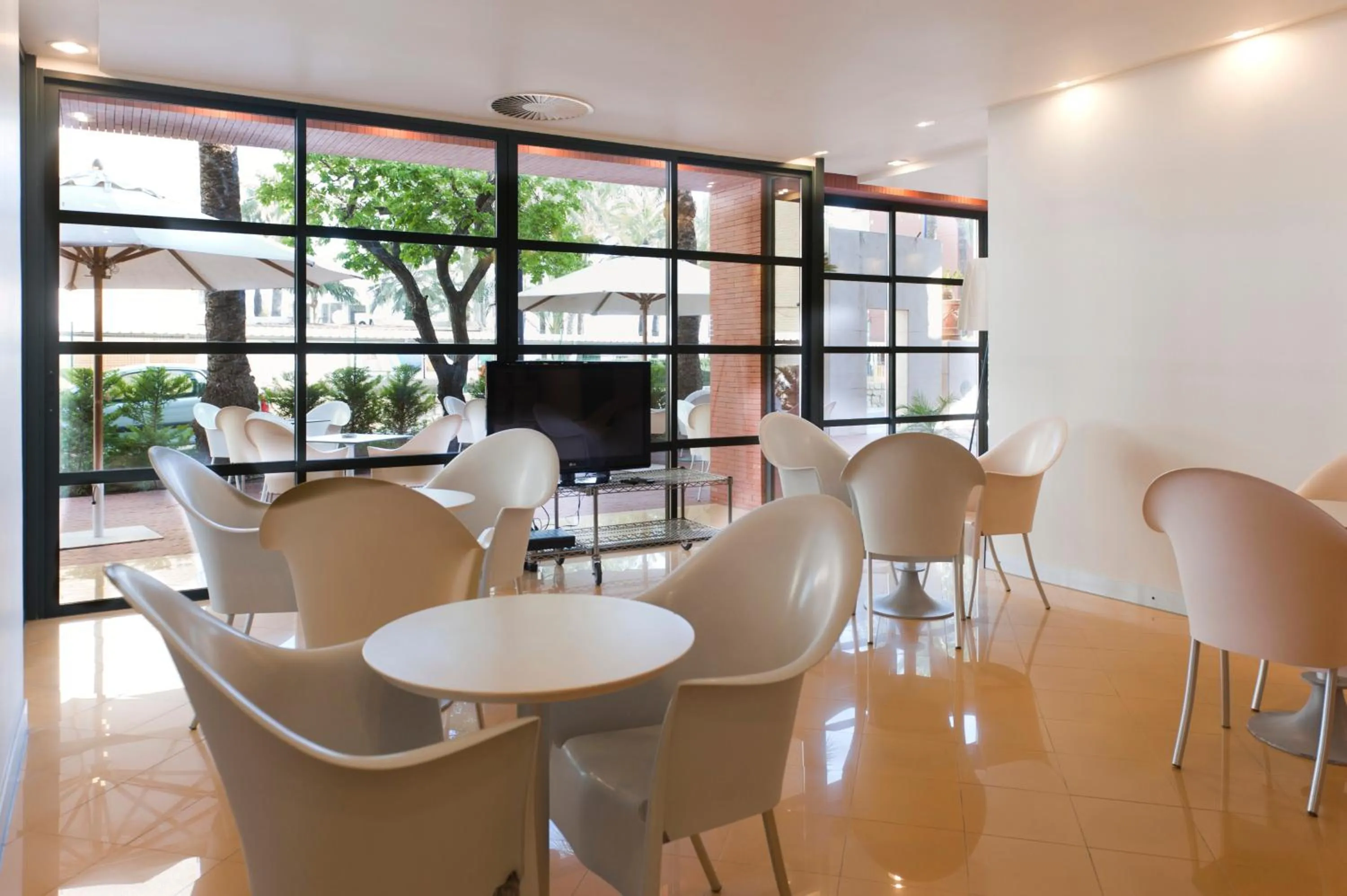 Lobby or reception in Hotel El Palmeral