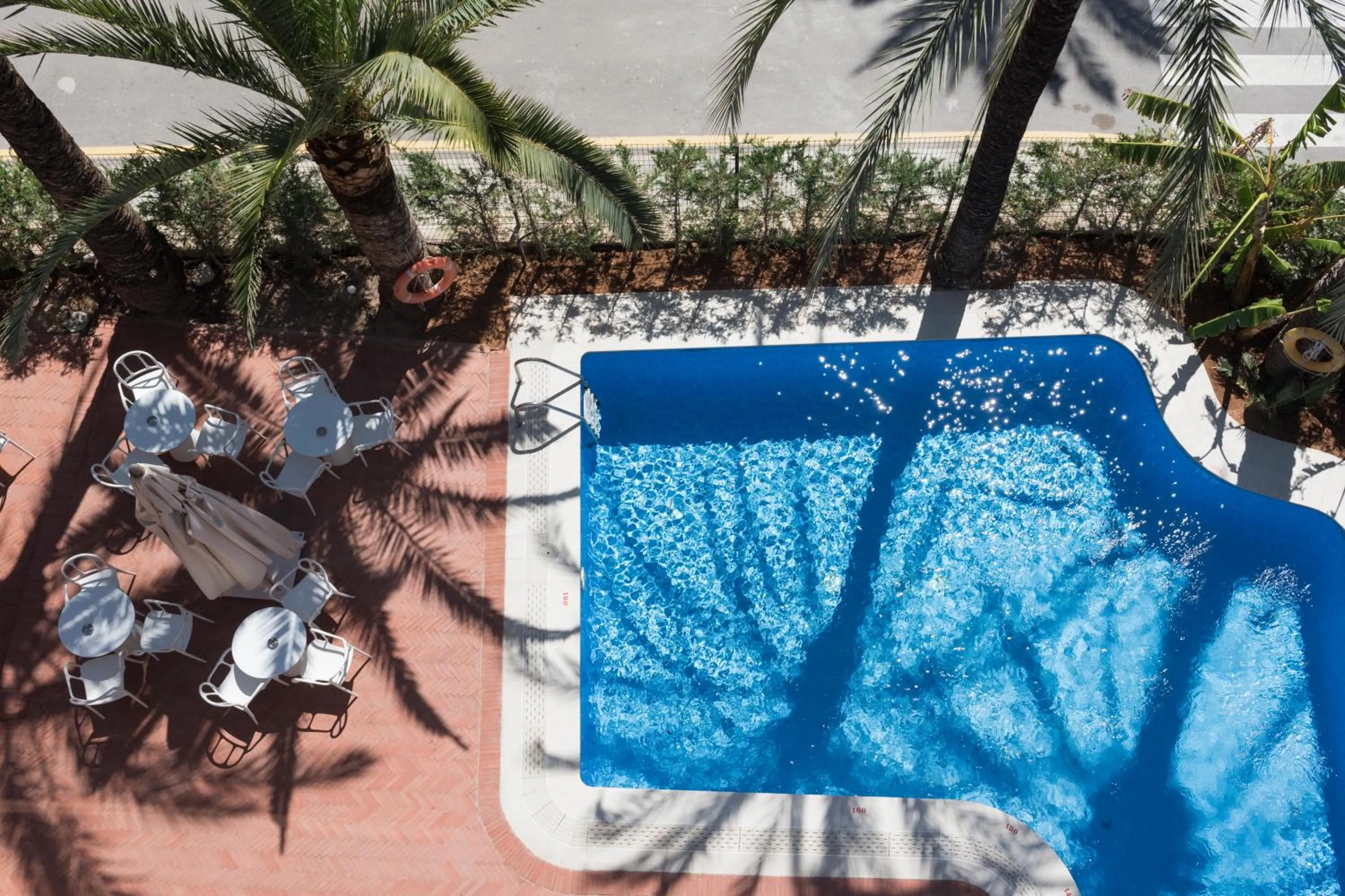 Pool view in Hotel El Palmeral