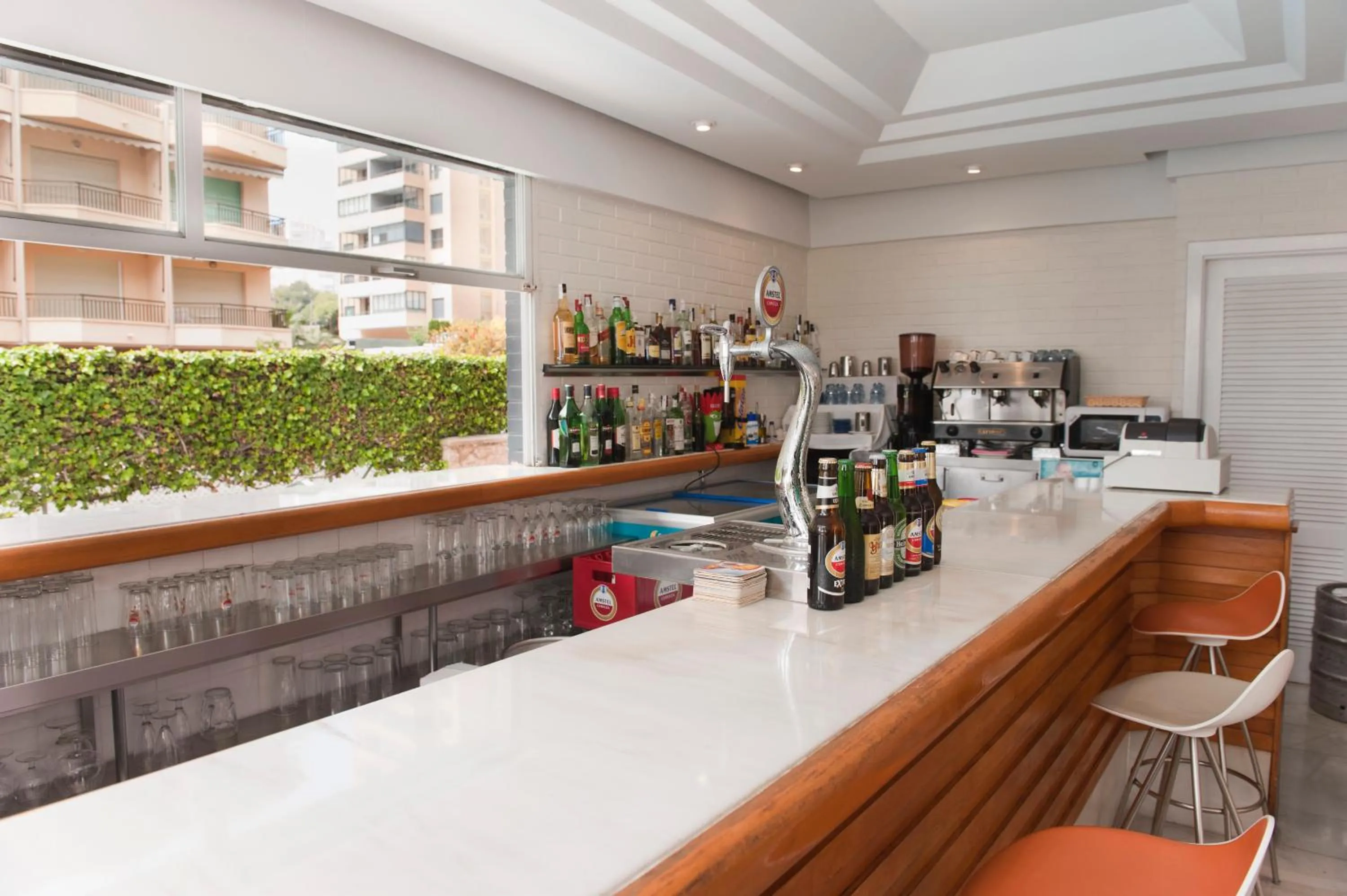 Lounge or bar in Hotel El Palmeral