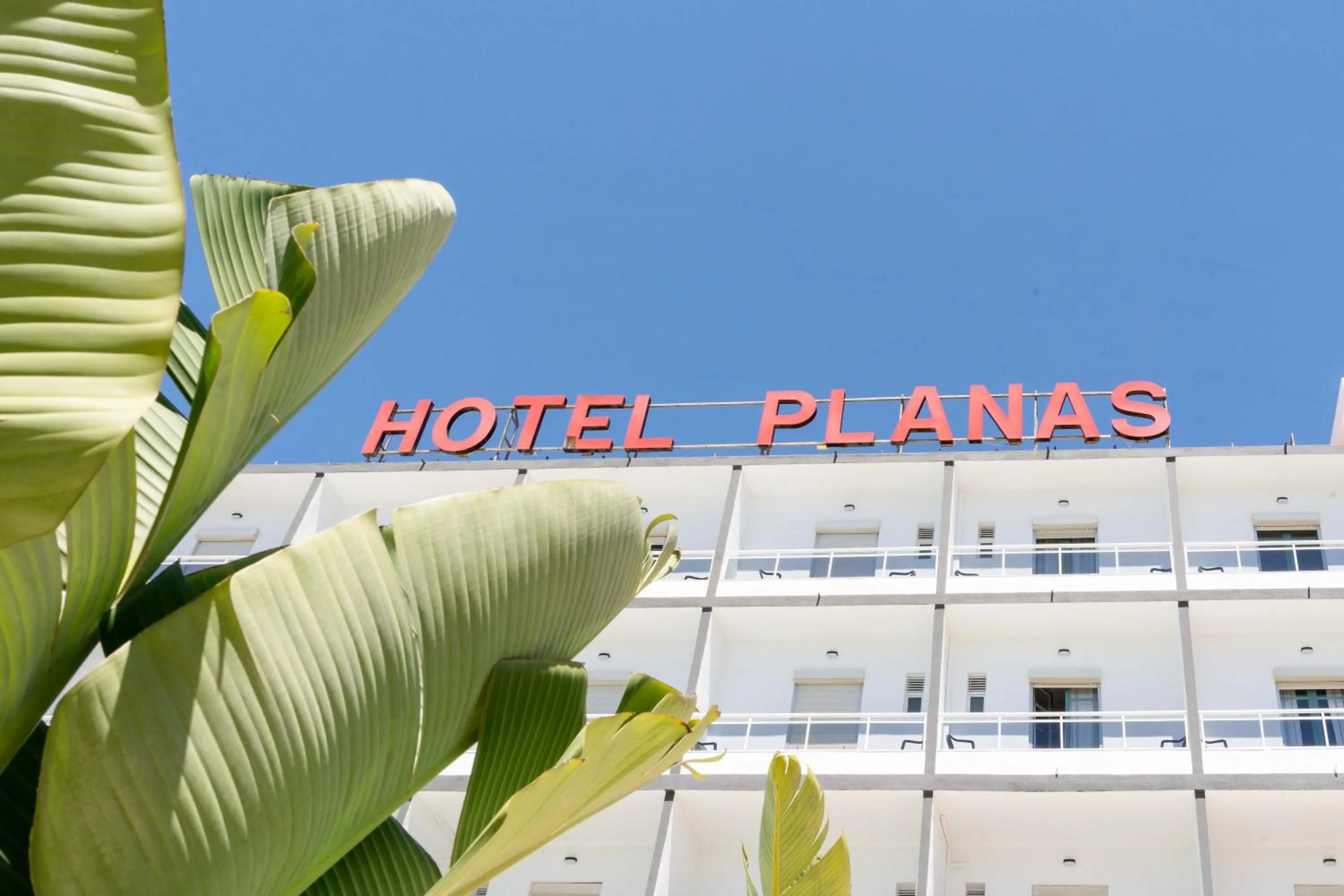 Facade/entrance in Hotel Planas