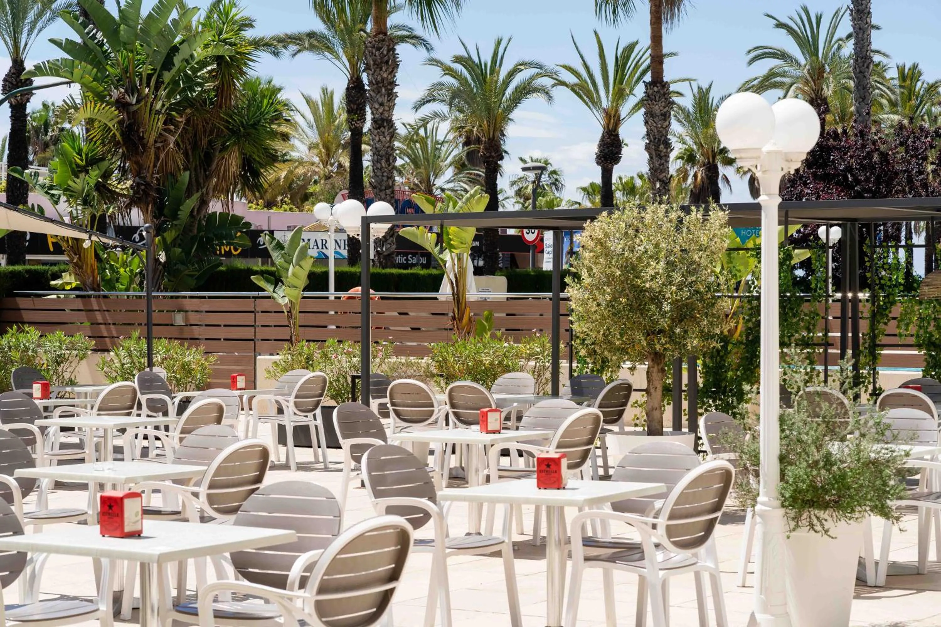 Balcony/Terrace in Hotel Planas