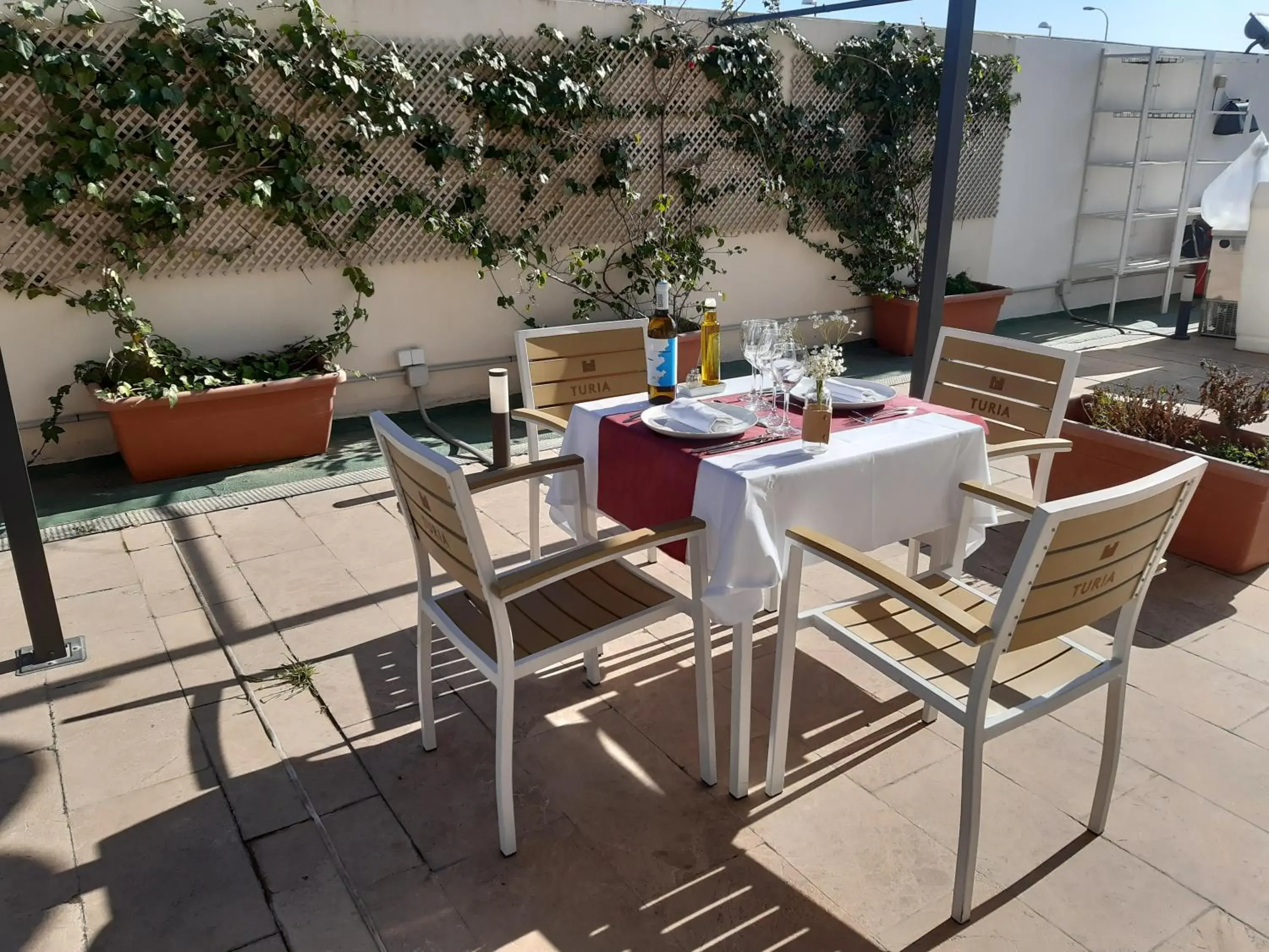 Restaurant/places to eat in Hotel Xon's Valencia Restaurant/places to eat in Hotel Xon's Valencia