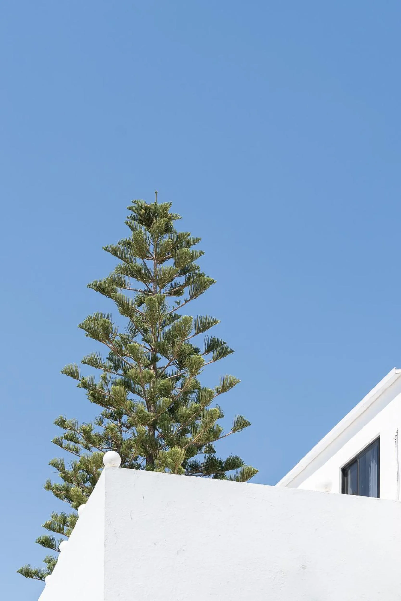 Restaurant/places to eat in Absolute Kiotari Resort