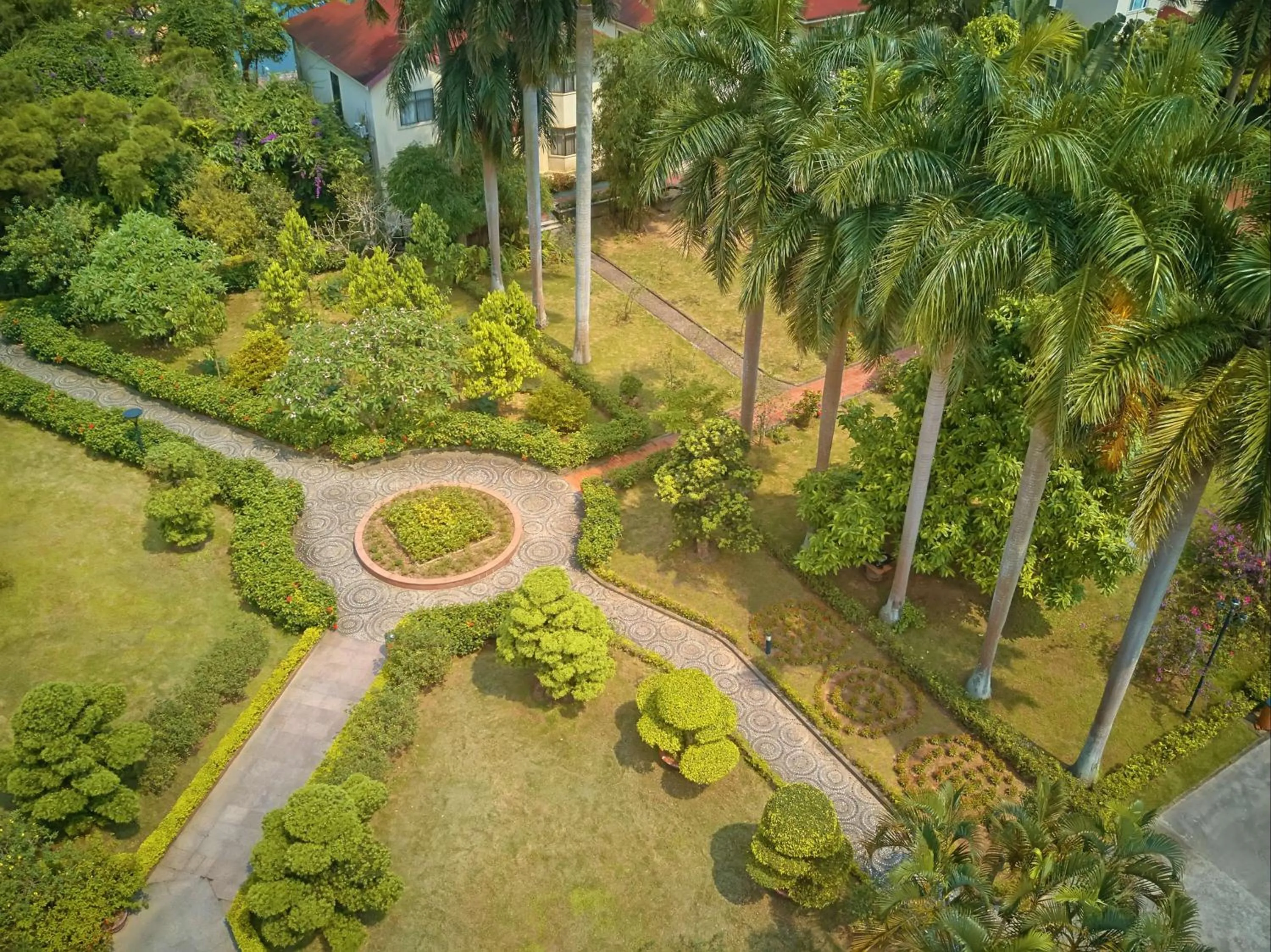 Garden in Khách sạn Quốc tế Lợi Lai - Li Lai International Hotel