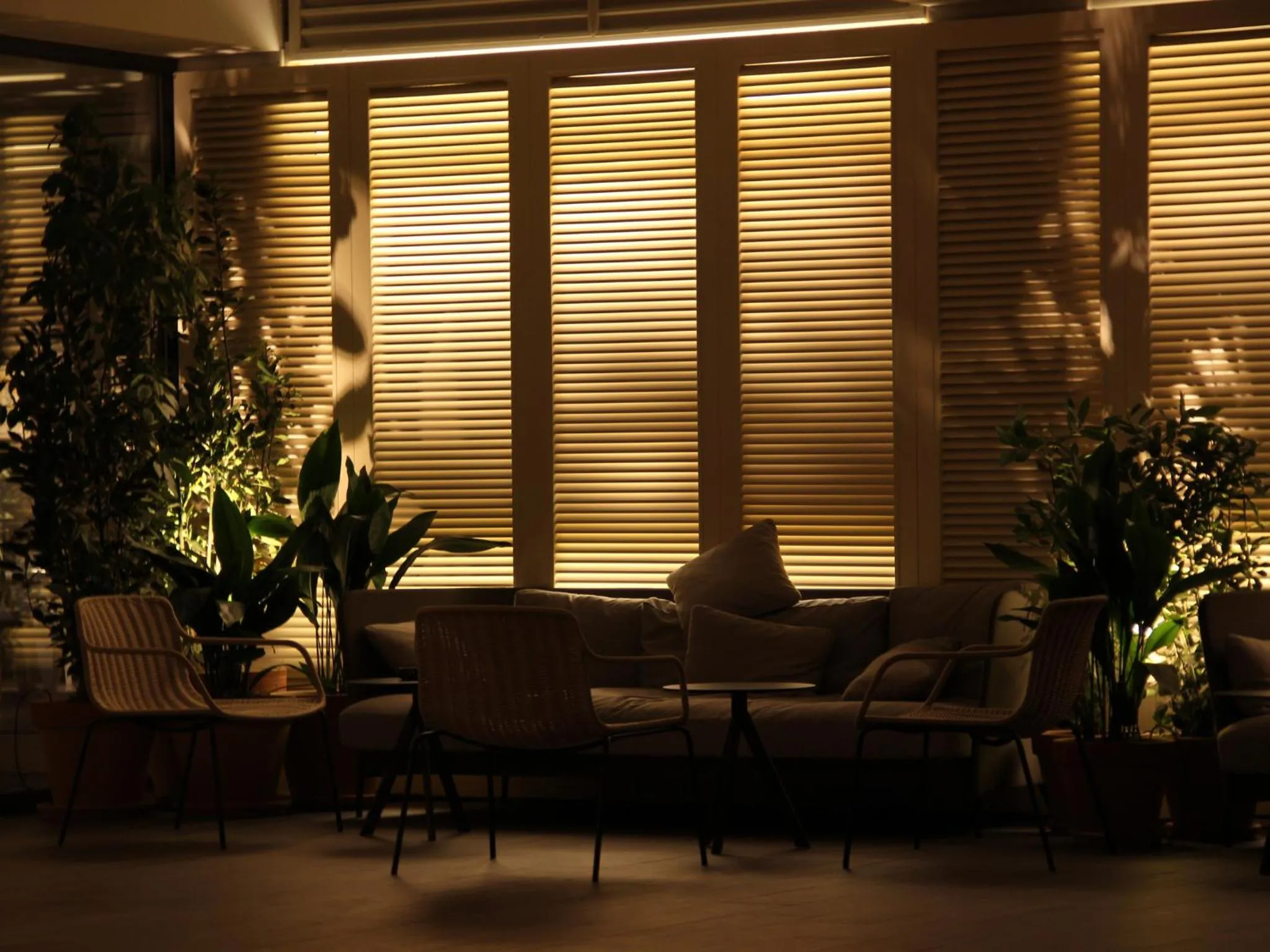 Lobby or reception in Hotel Chiqui