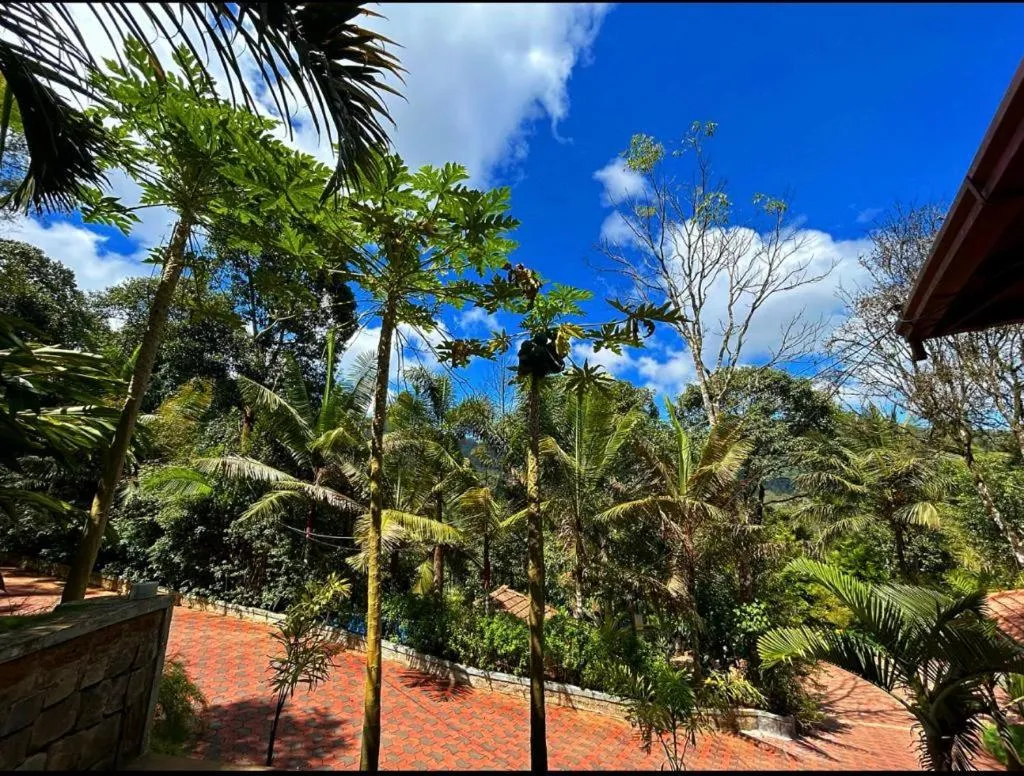 Jungle Hill Resort Coorg