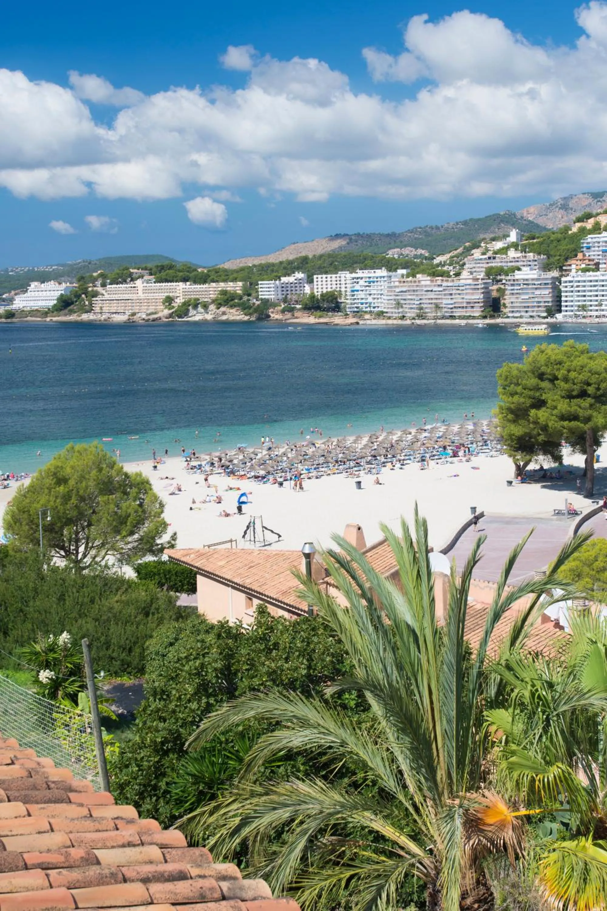 Garden in Apartamentos Casa Vida