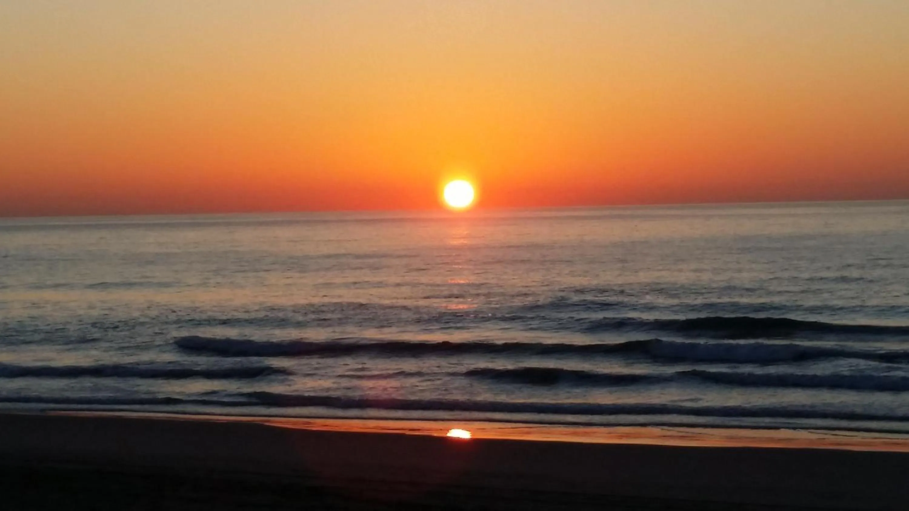 Natural landscape in Hotel Sant Jordi
