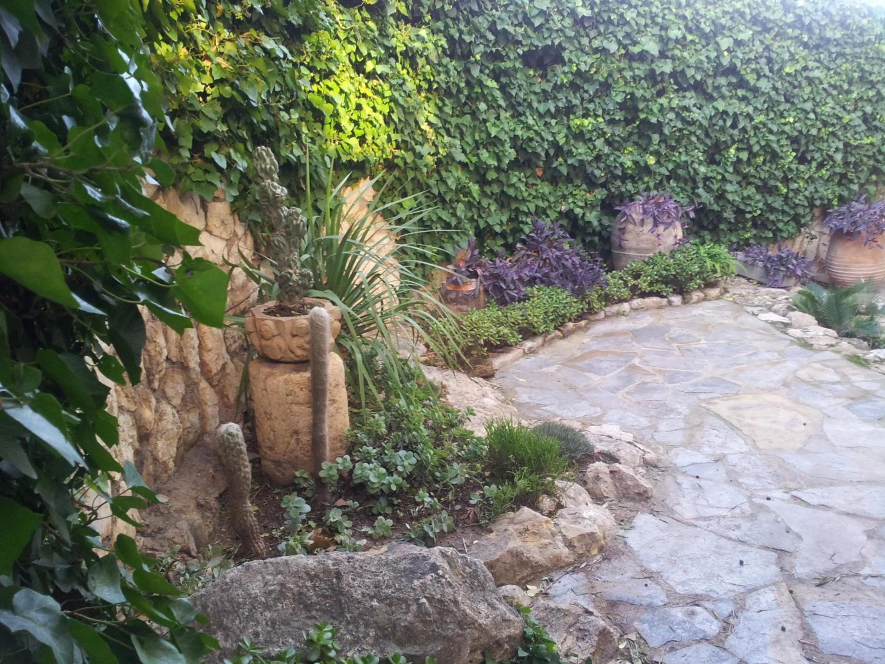 Garden in Hotel Sant Jordi