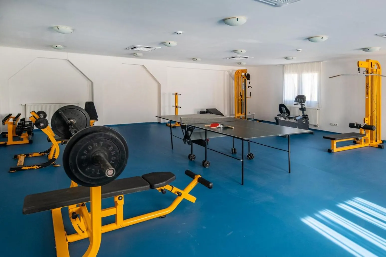 Sports in Zsóry Liget Hotel & Spa Superior