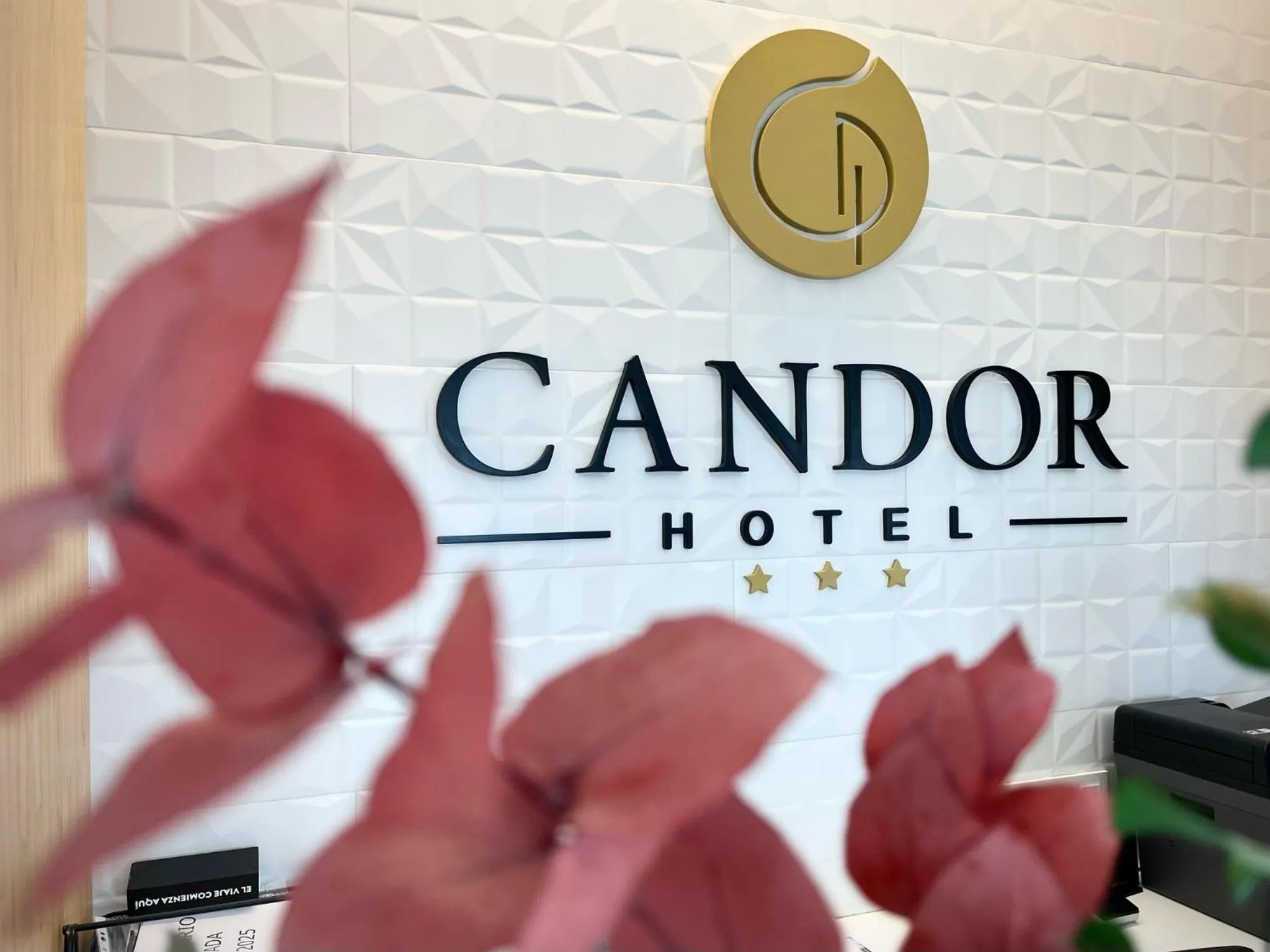 Logo/Certificate/Sign in HOTEL CANDOR