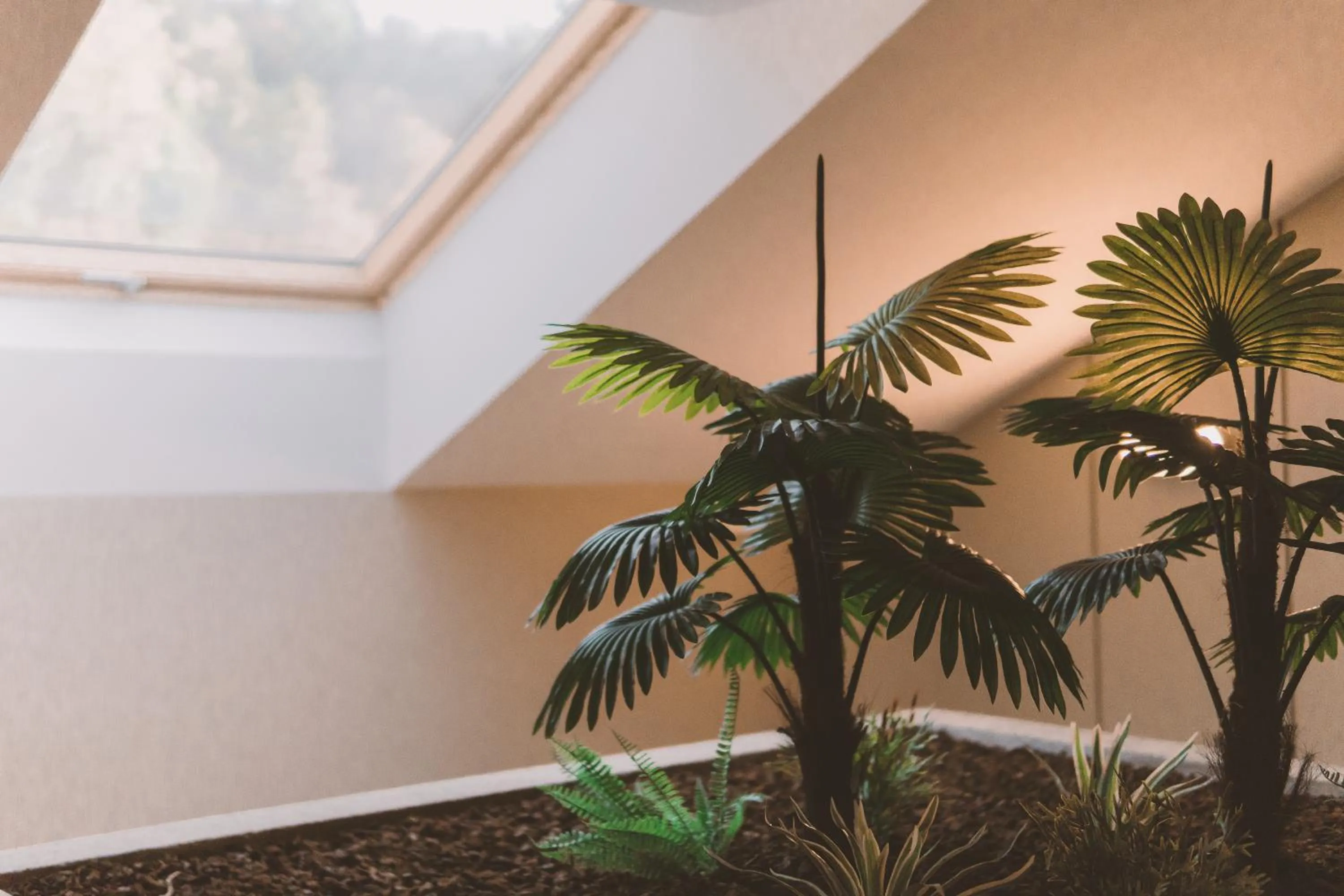 Area and facilities in HOTEL CANDOR