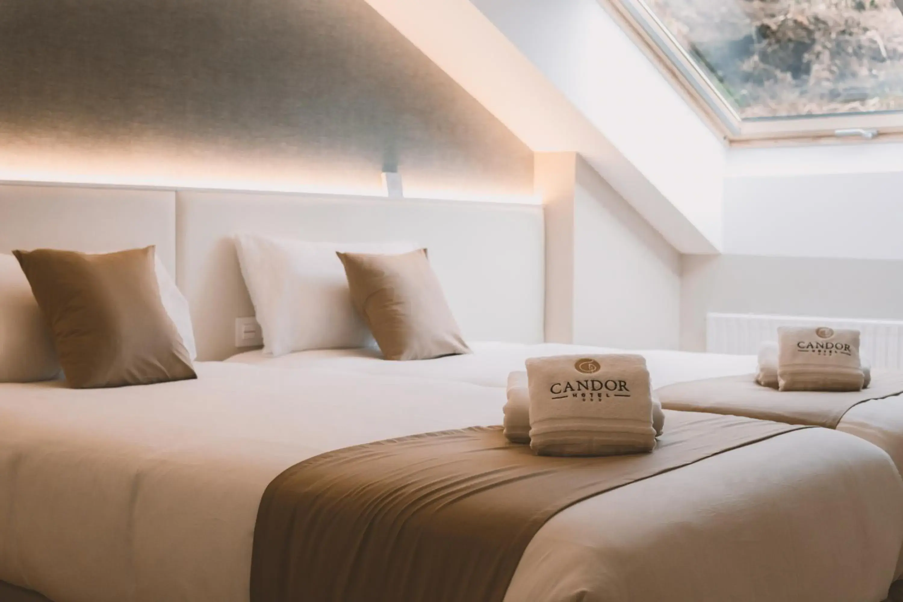 Family Room in HOTEL CANDOR Family Room in HOTEL CANDOR