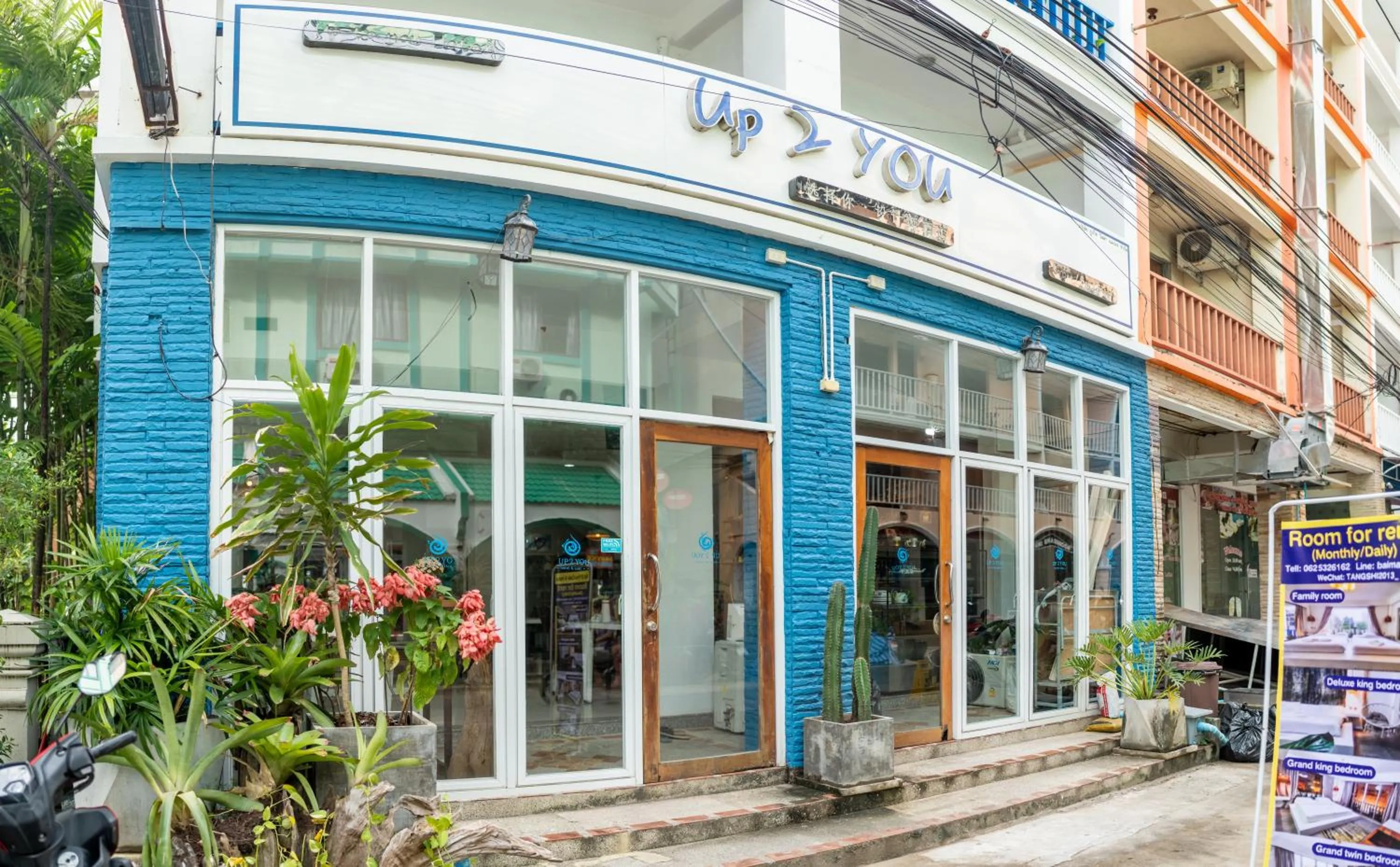 Property building in Meow Cat Cafe & Hotel