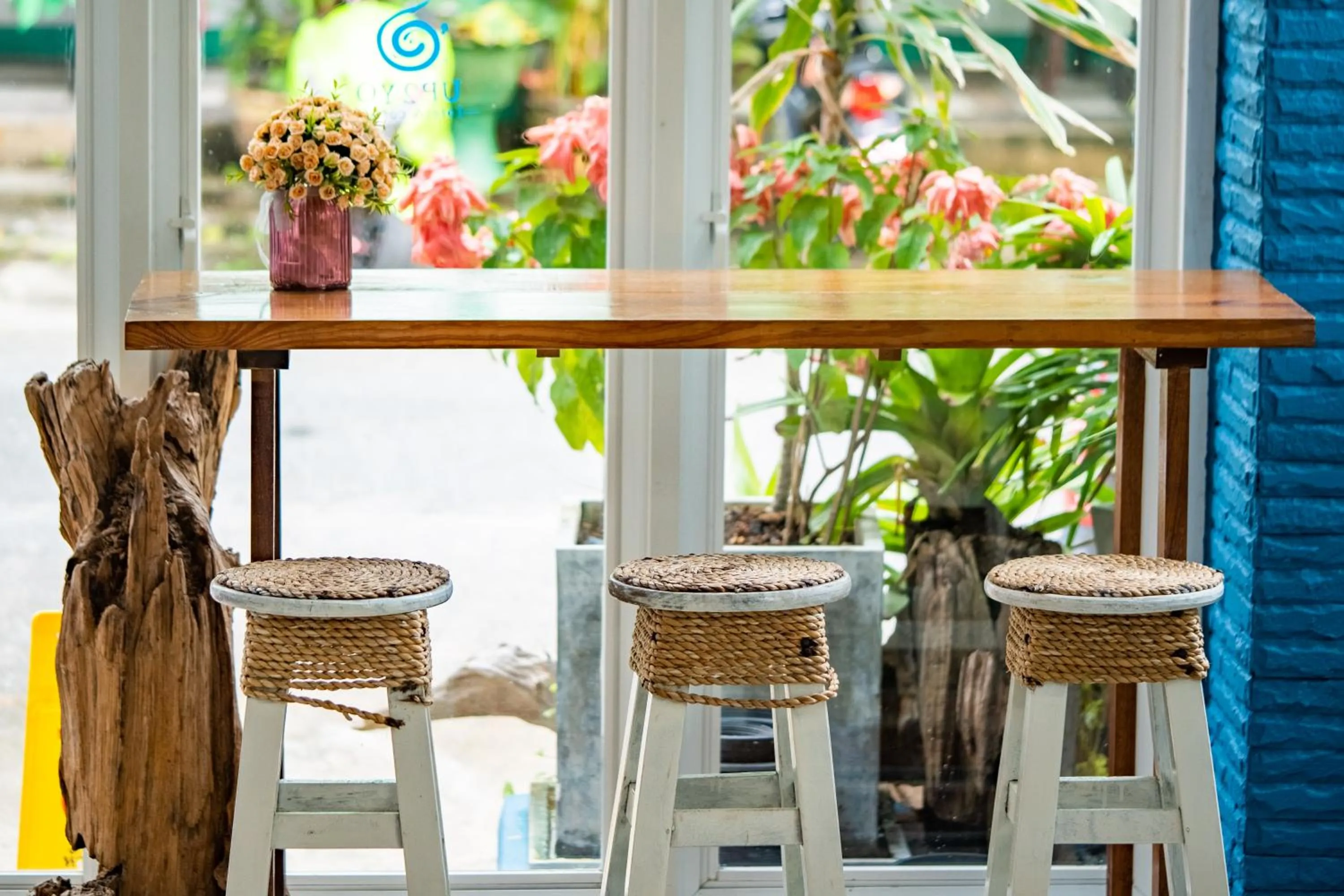 Garden view in Meow Cat Cafe & Hotel