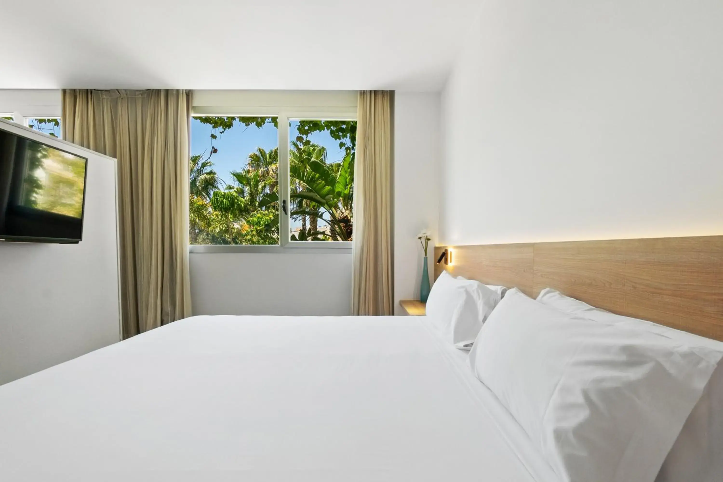 Junior Suite in Hotel Areca Junior Suite in Hotel Areca