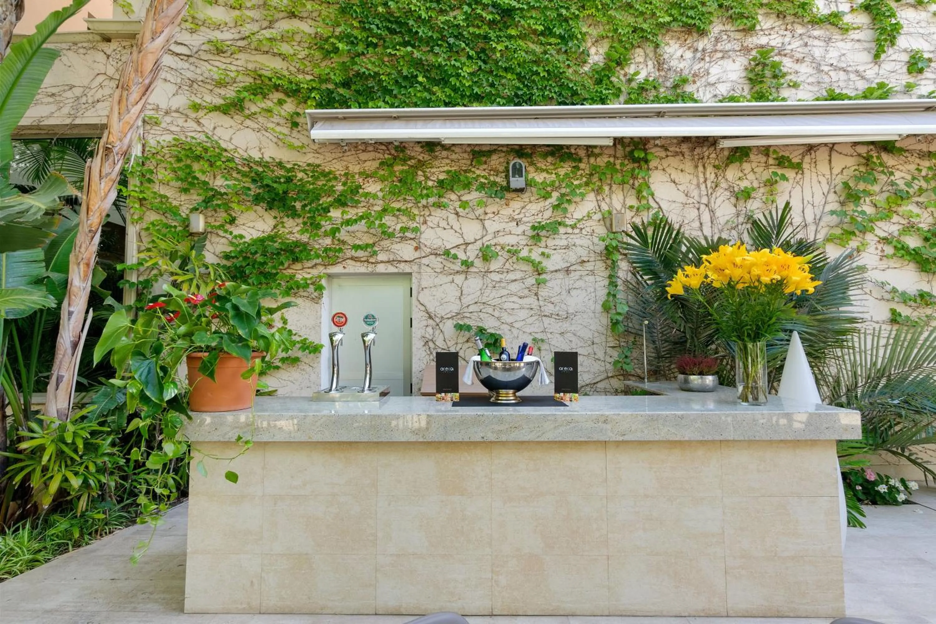 Patio in Hotel Areca