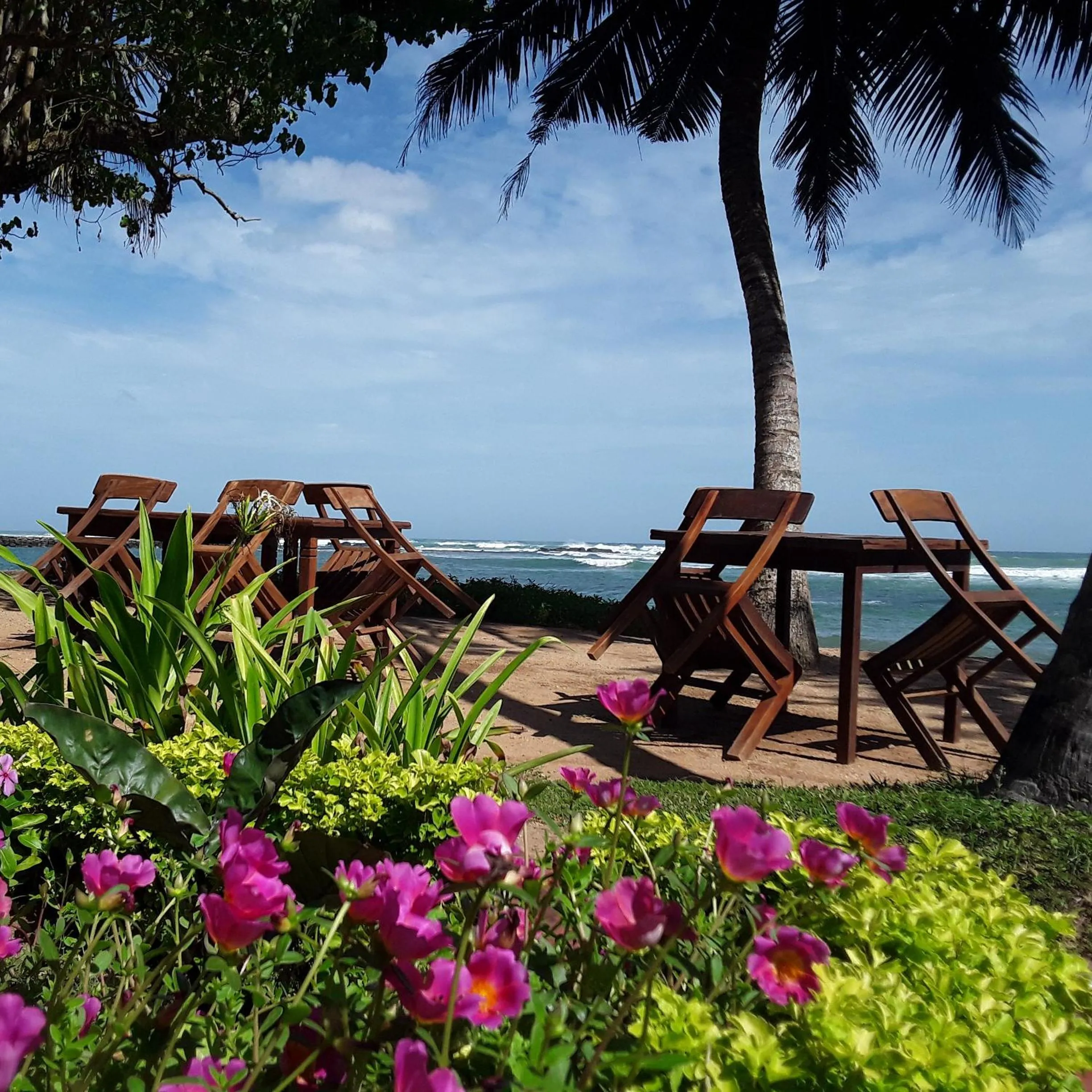 Restaurant/places to eat in Palm villa Mirissa hotel&spa