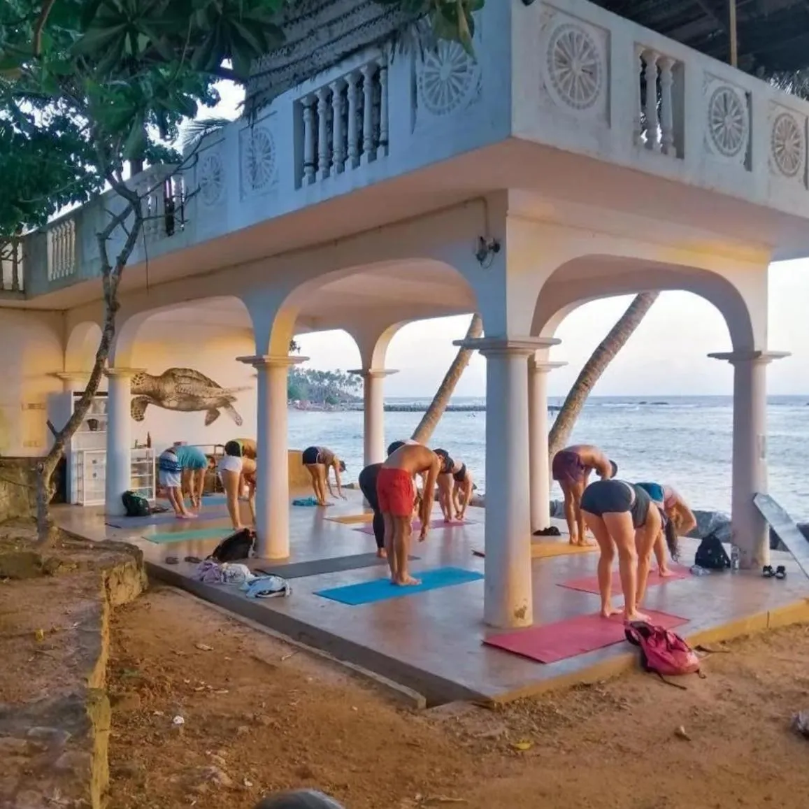 Activities in Palm villa Mirissa hotel&spa