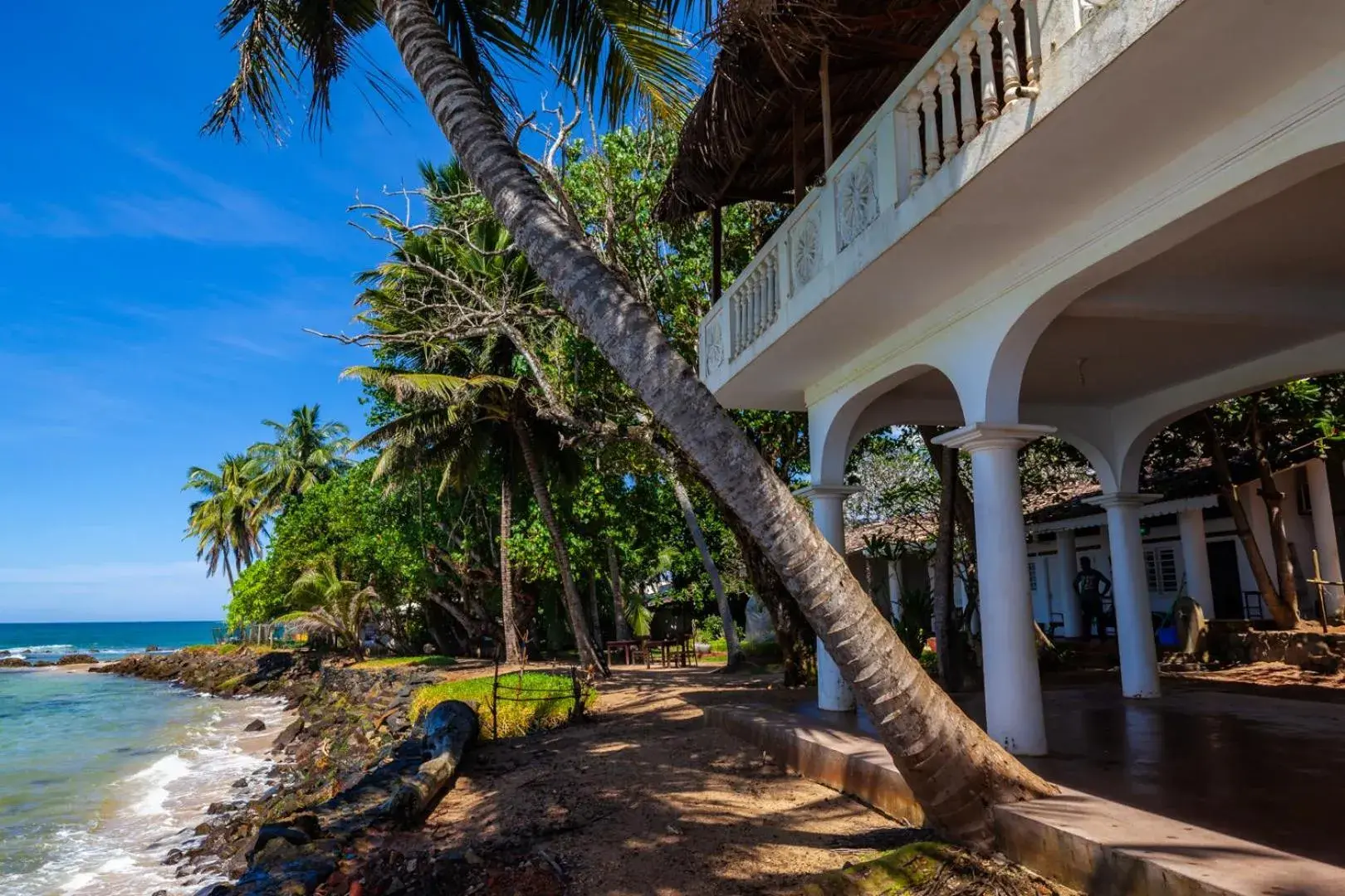 Palm villa Mirissa hotel&spa Palm villa Mirissa hotel&spa