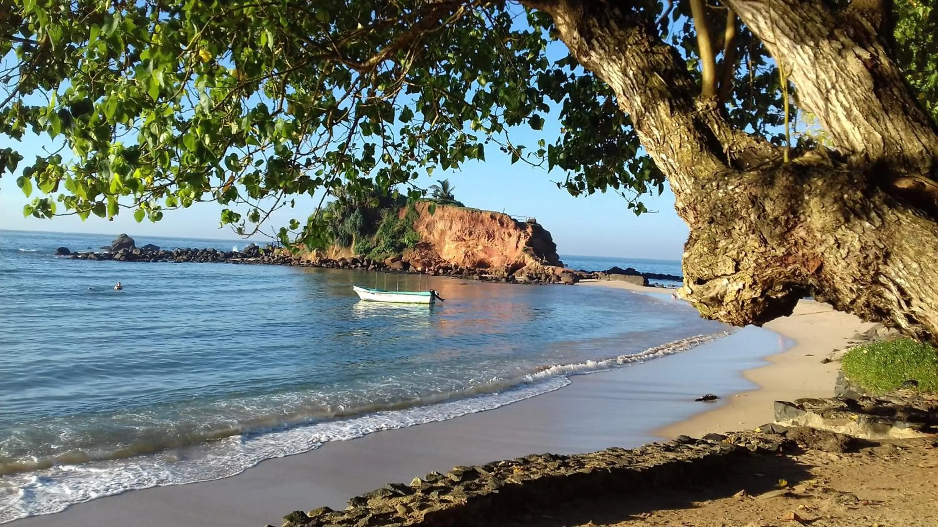 Natural landscape in Palm villa Mirissa hotel&spa