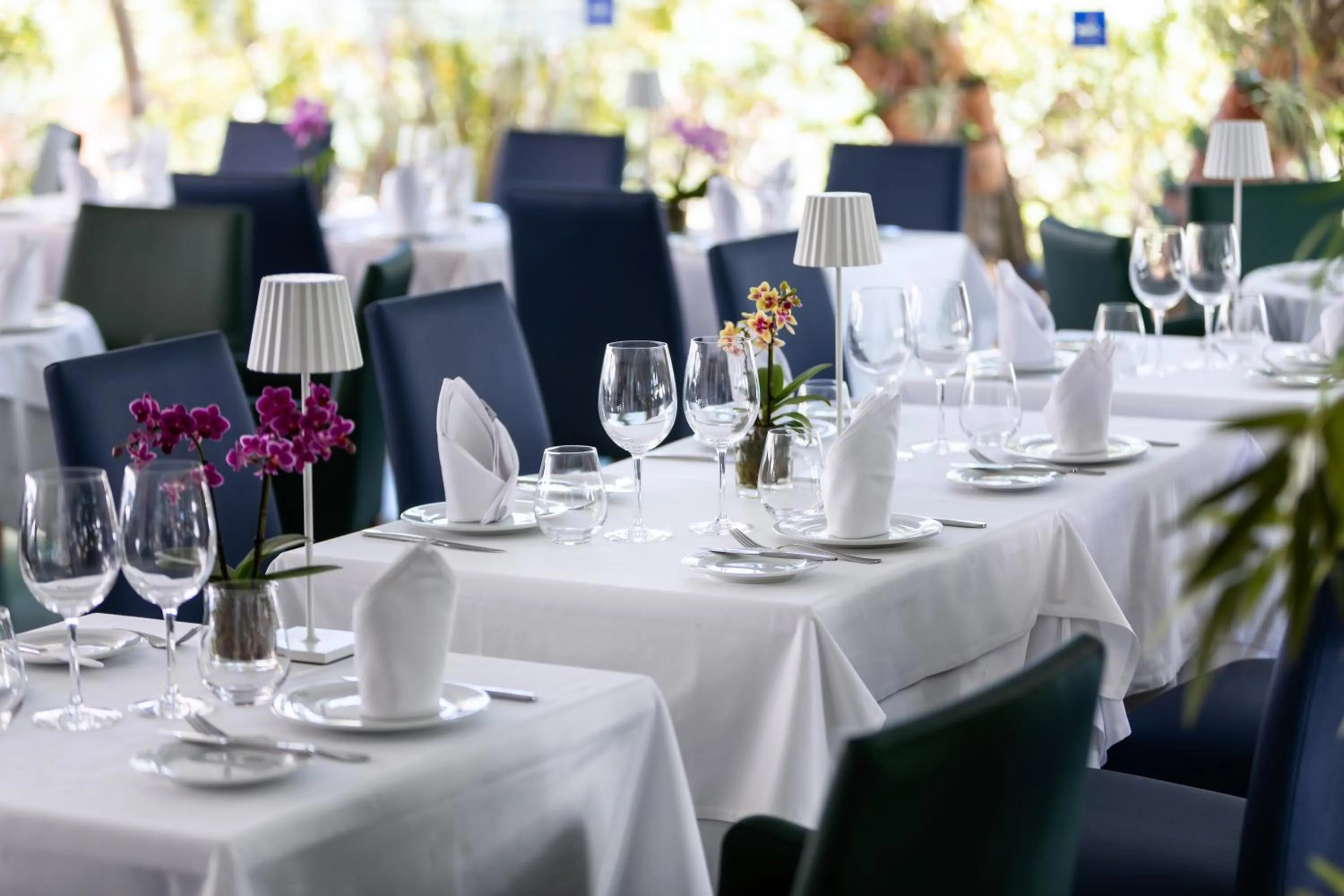 Restaurant/places to eat in MUR Bungalows Parque Romantico