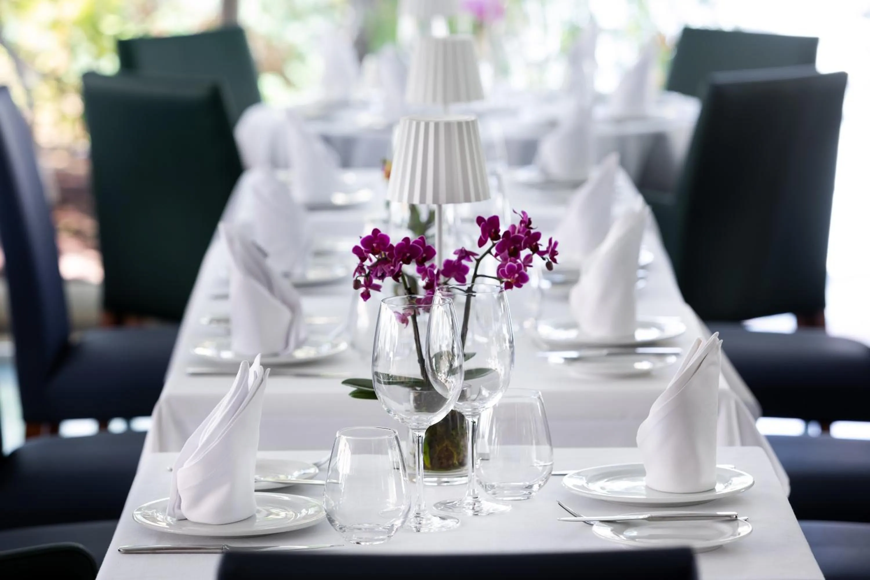 Restaurant/places to eat in MUR Bungalows Parque Romantico