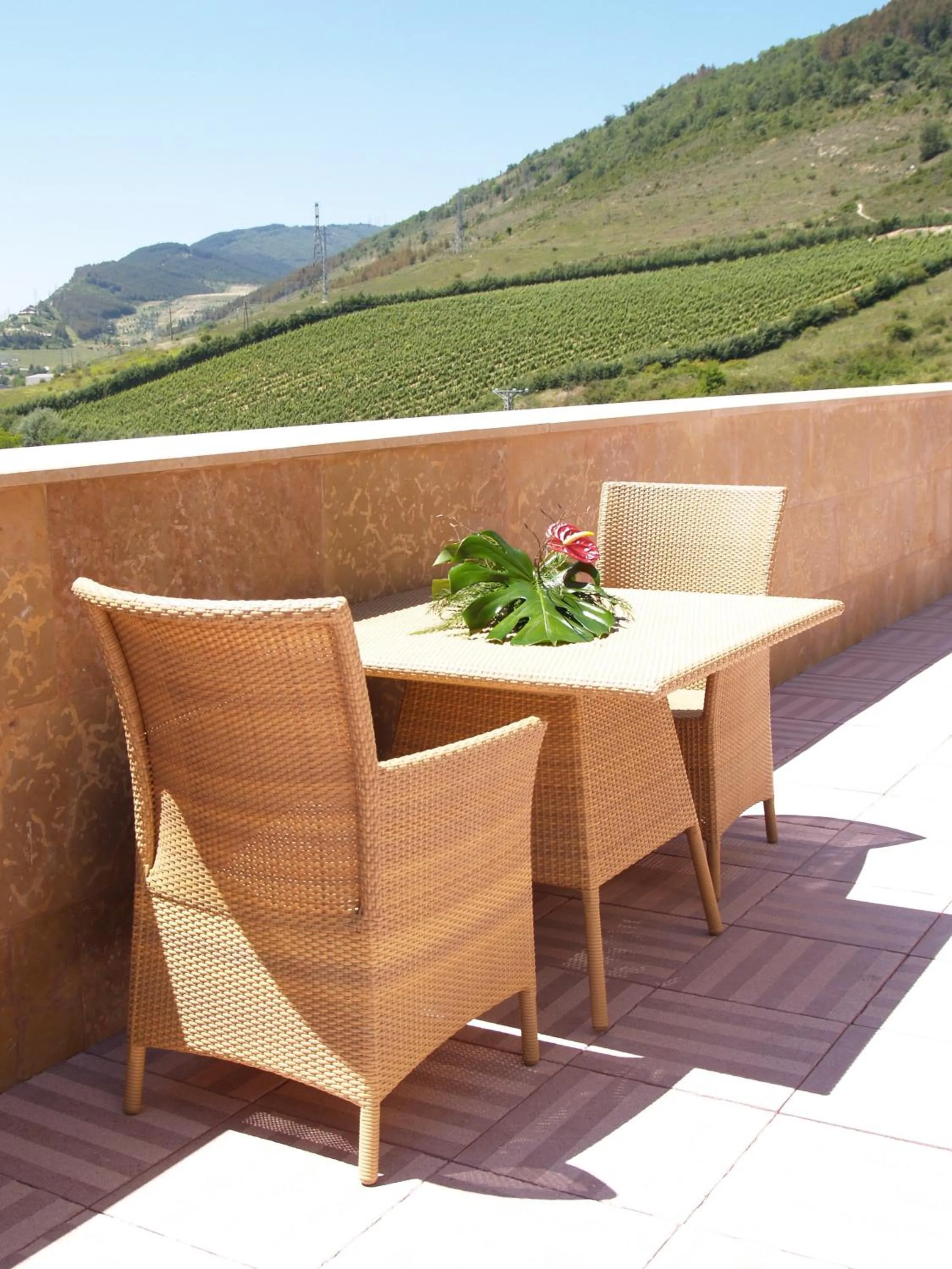 Balcony/Terrace in Hotel Pamplona Villava