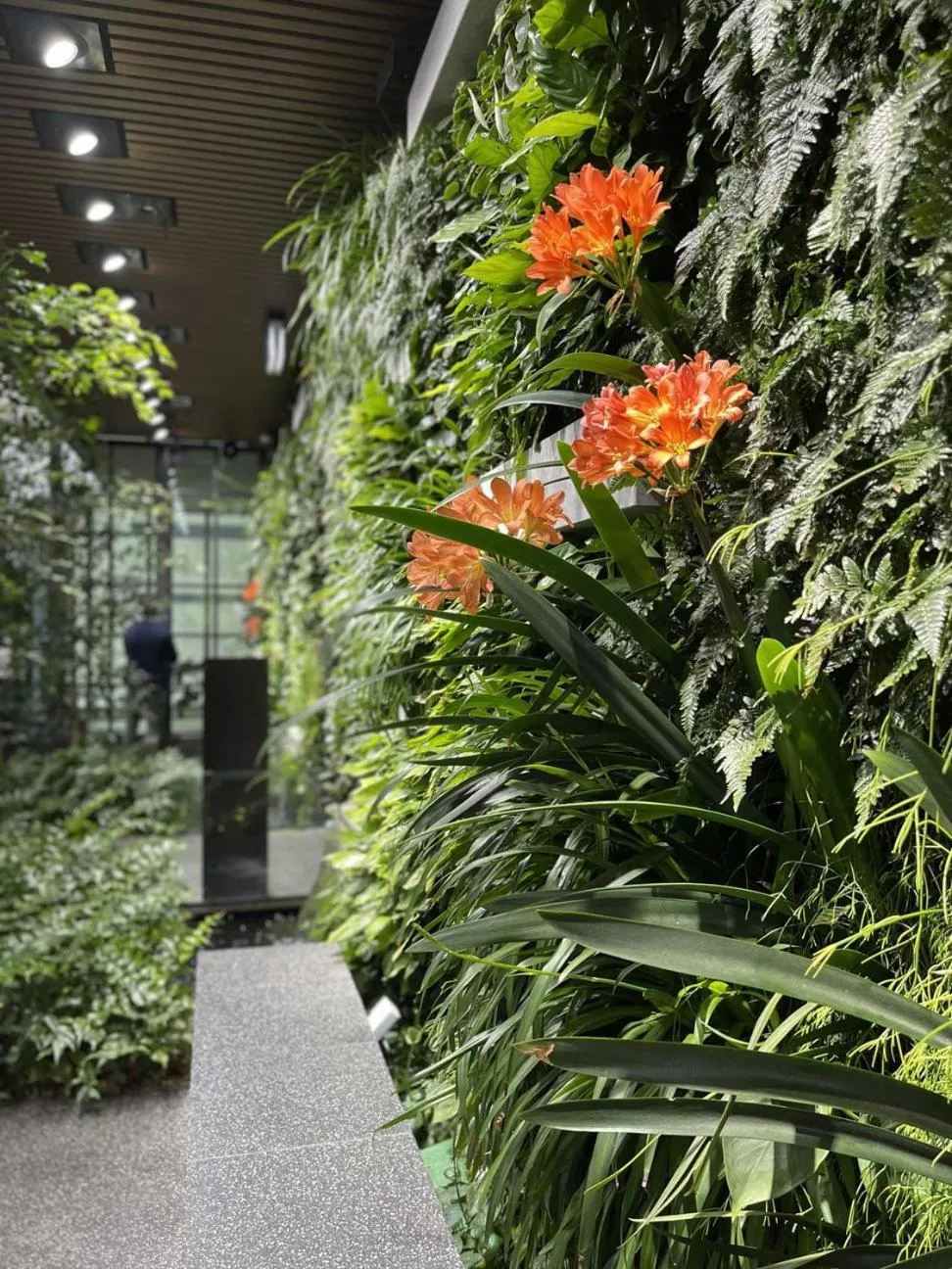 Garden in Paragon Apartments by CLLIX