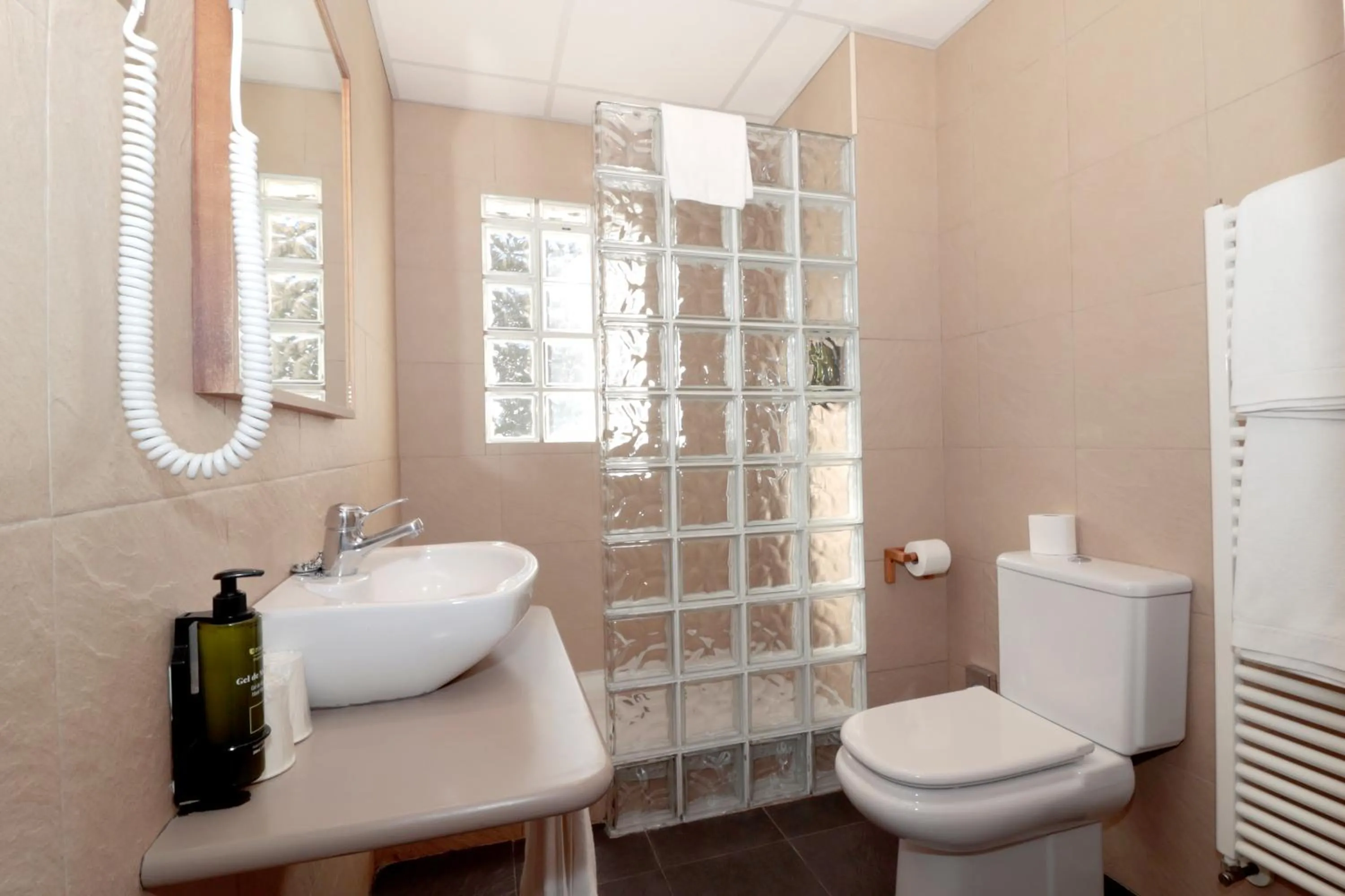 Bathroom in Hotel Blu Aran