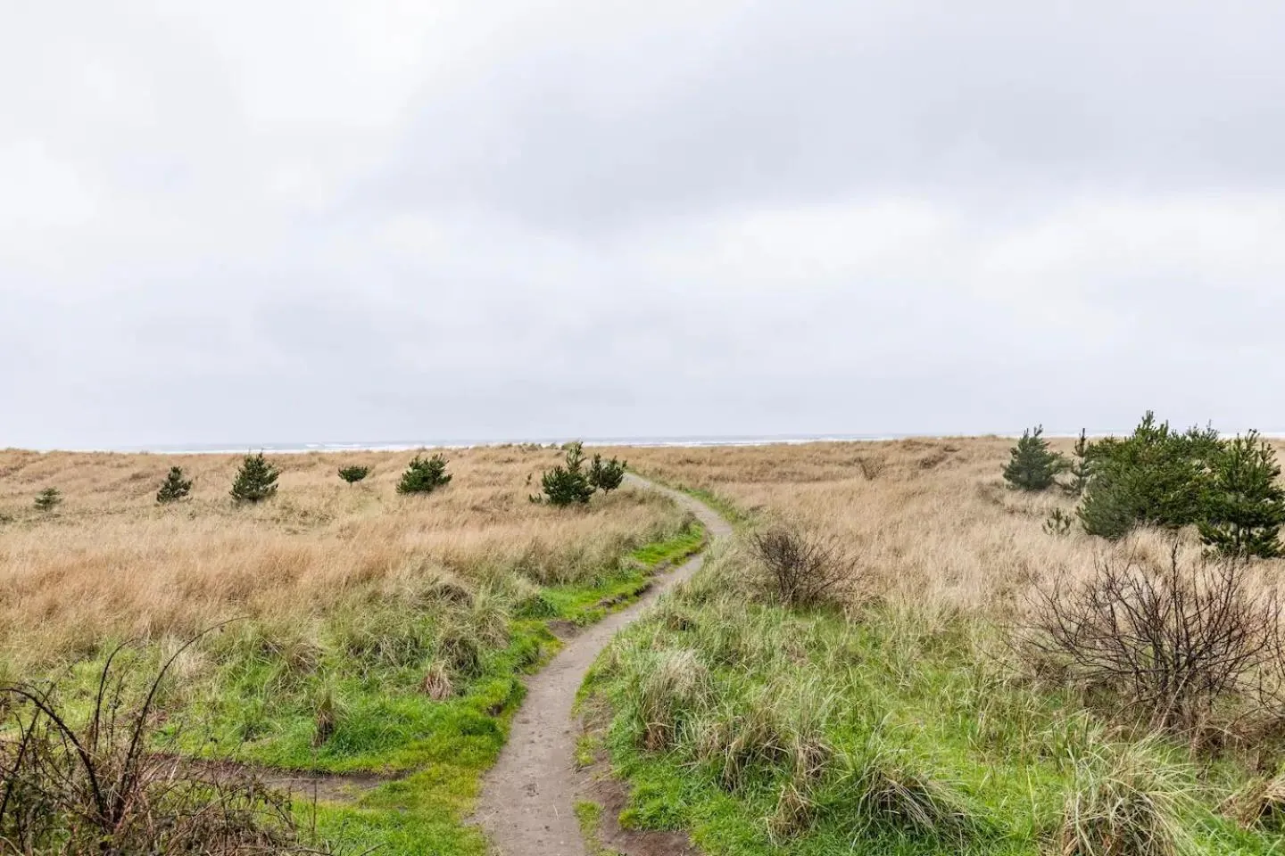 Natural landscape in Sand Dollar Haven at Seaside Beach Club Unit 306