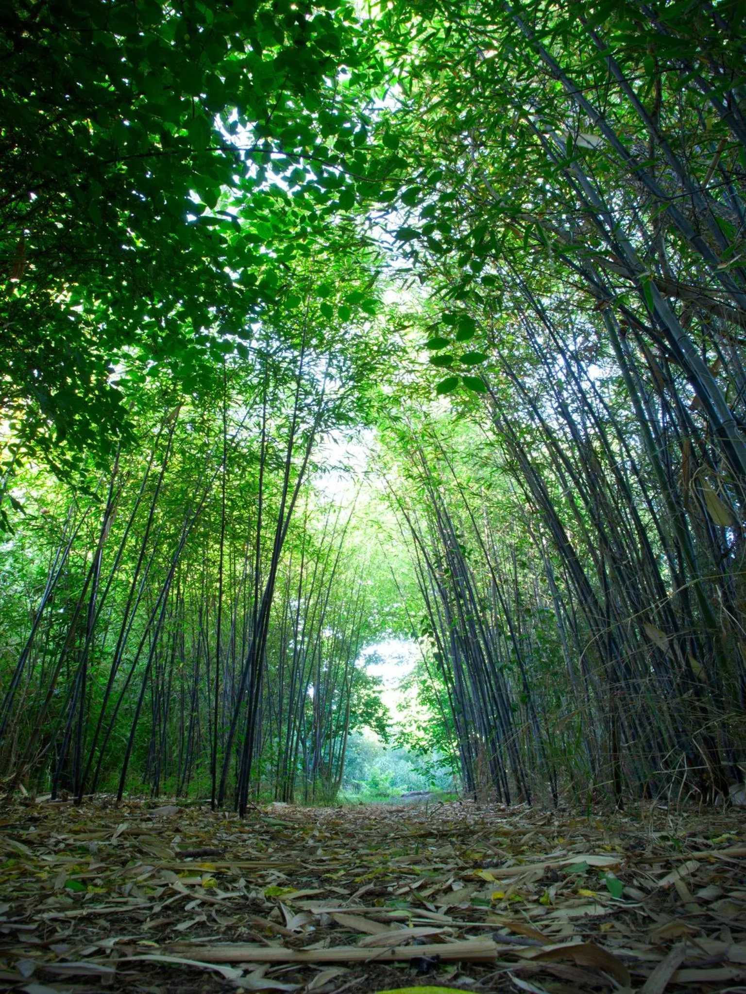Spring in Hotel Rural Molino del Puente Ronda